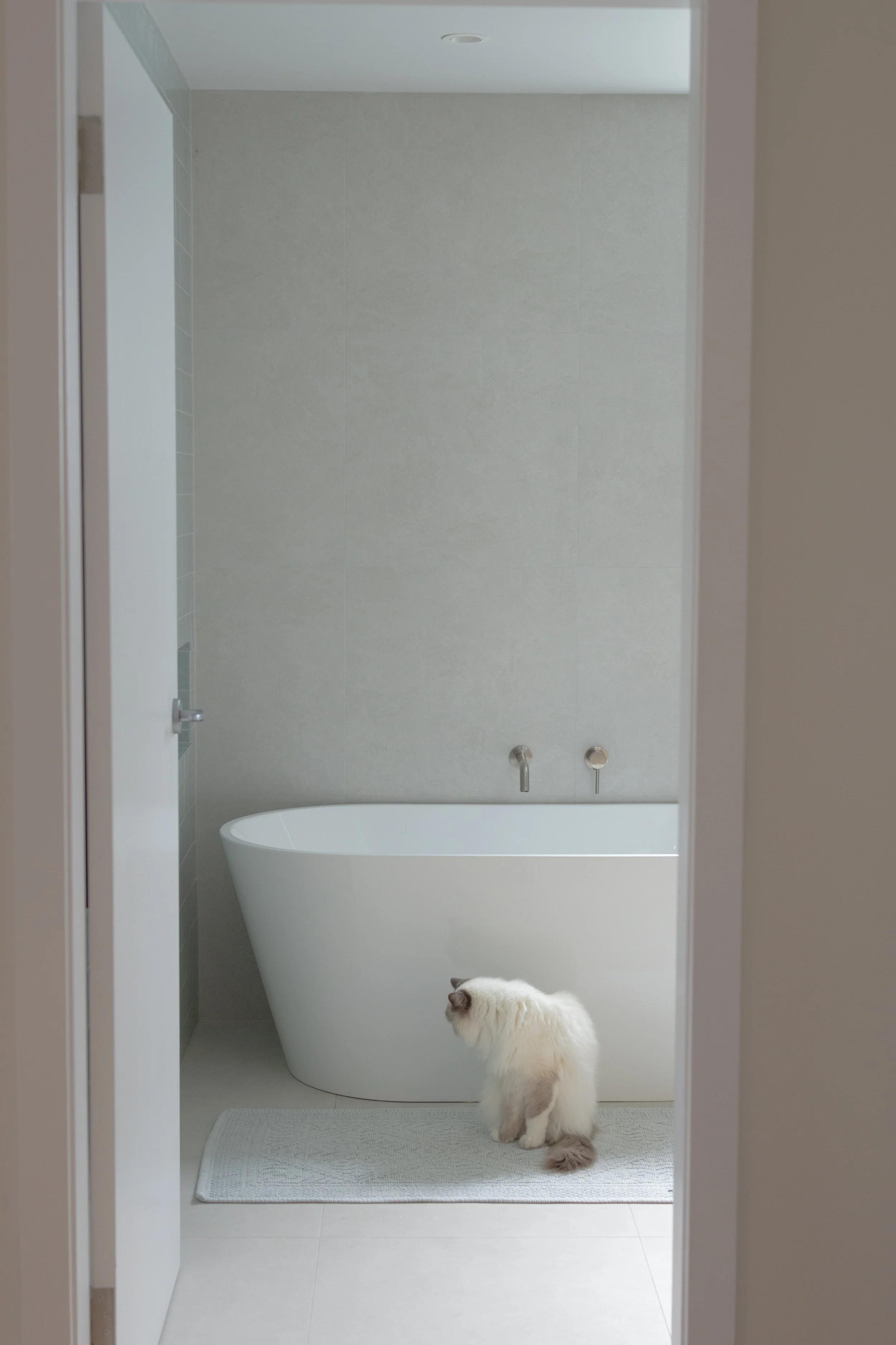 LuxBuilding-1 (1).jpg