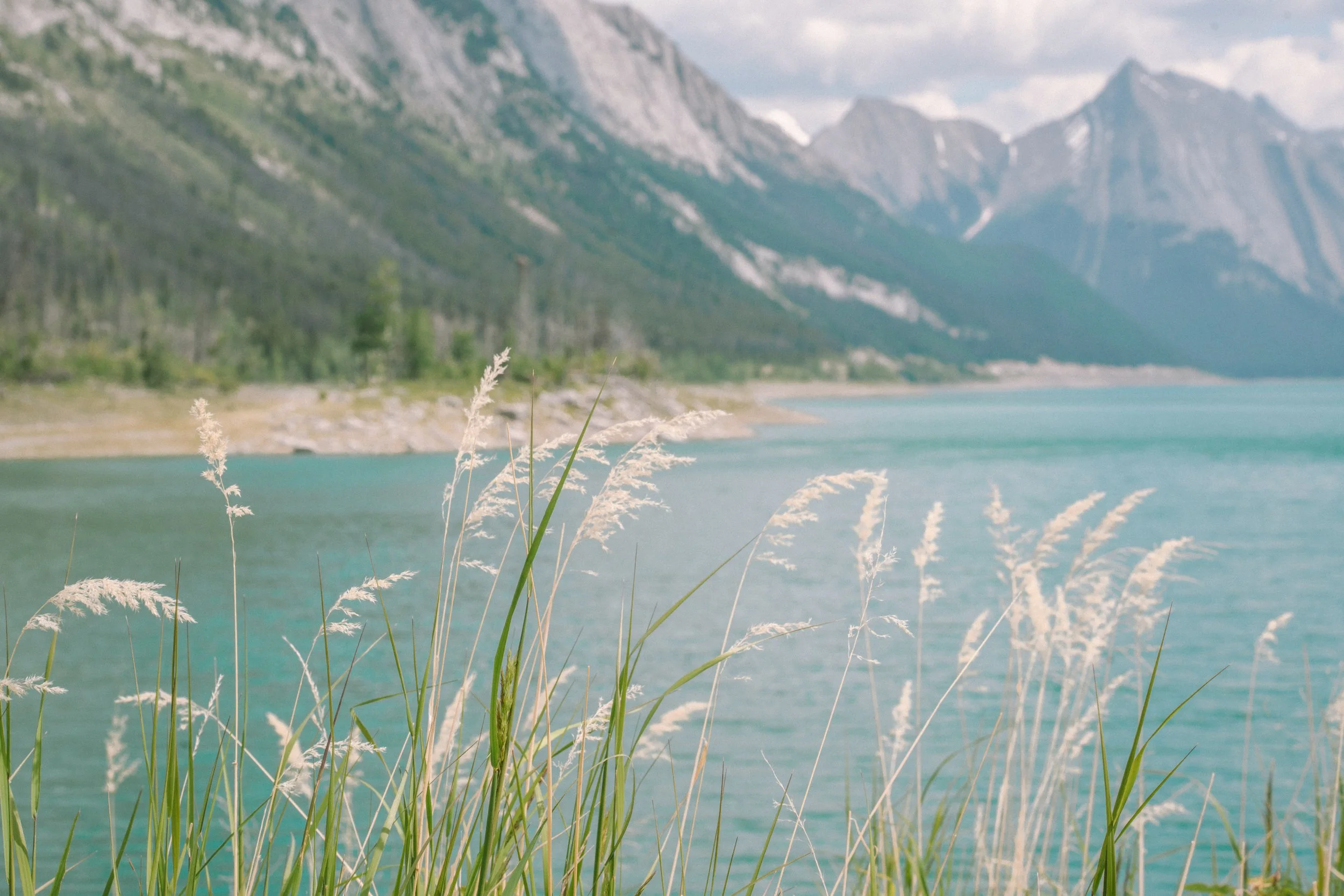 Banff National Park, mountain landscape, post-fire recovery, wildfire resilience, turquoise lake, emerald water, Canadian Rockies, nature flowing back, ecological regeneration, alpine grasses, medicine lake