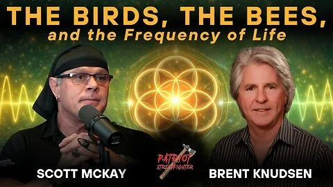 3.5.26 Patriot Streetfighter w/ Brent Knudsen | THE BIRDS, THE BEES, &amp; THE FREQUENCY OF LIFE