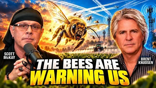 Mti5A.OvCc-small-10.9.26-1pm-Eastern-THE-BEE..jpg