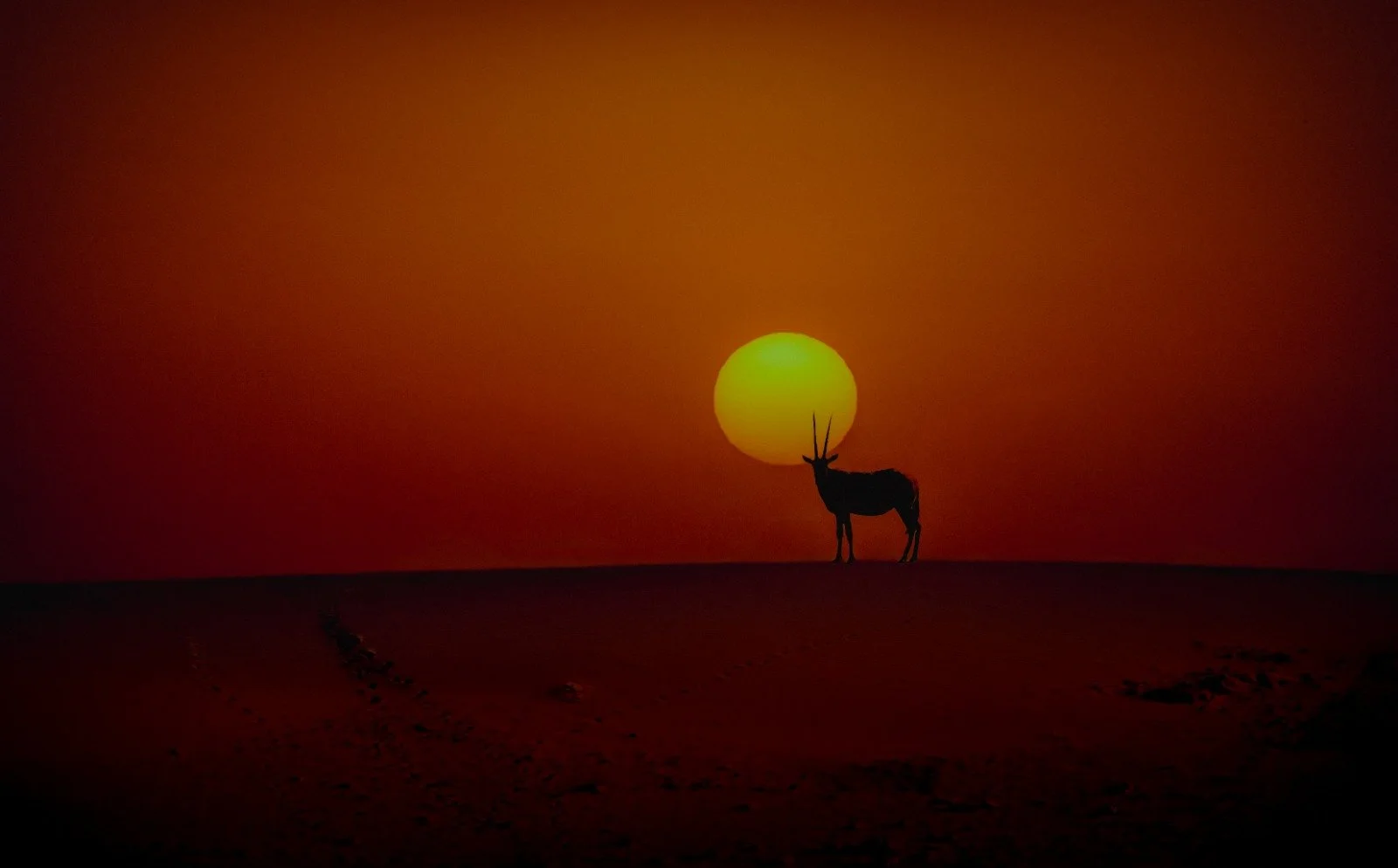 WhatsApp Image 2026-02-21 at 12.19.34 PM.jpeg