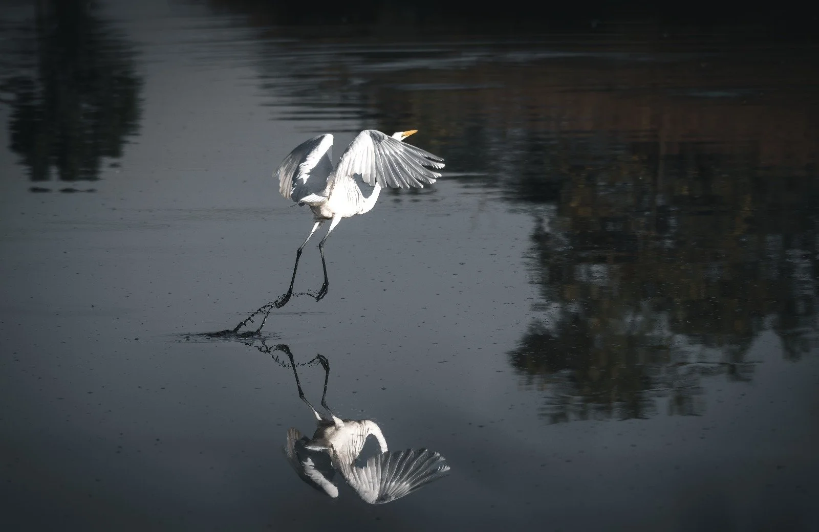 WhatsApp Image 2025-09-19 at 8.18.03 PM.jpeg