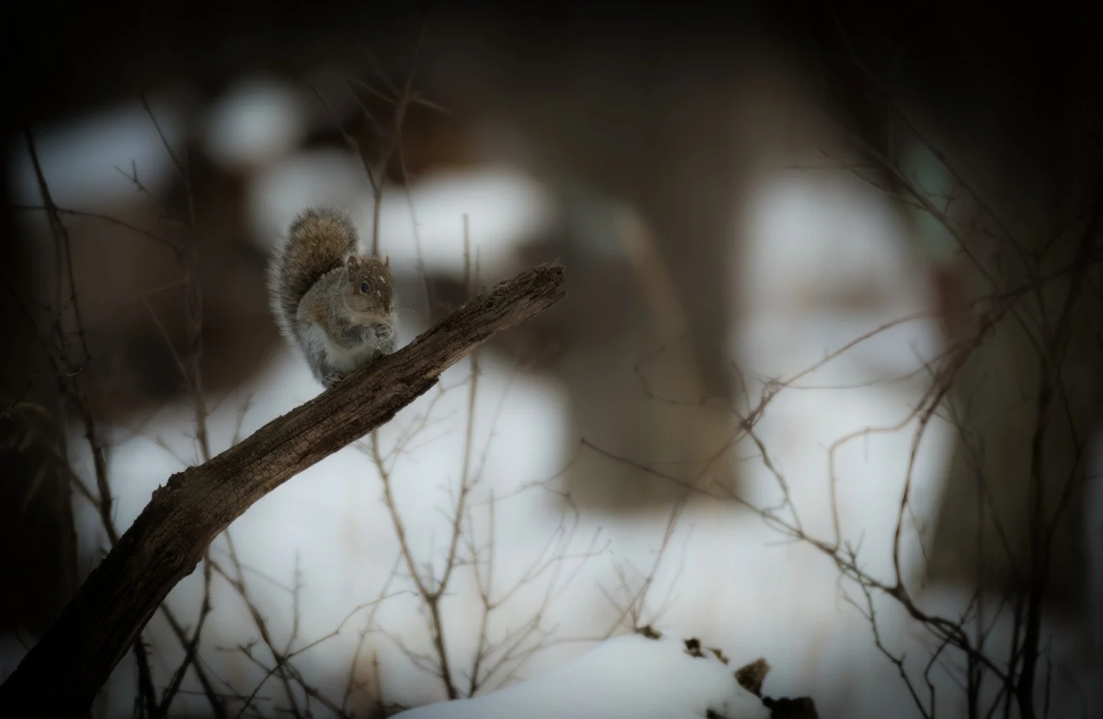 WhatsApp Image 2026-02-05 at 10.57.20 AM.jpeg