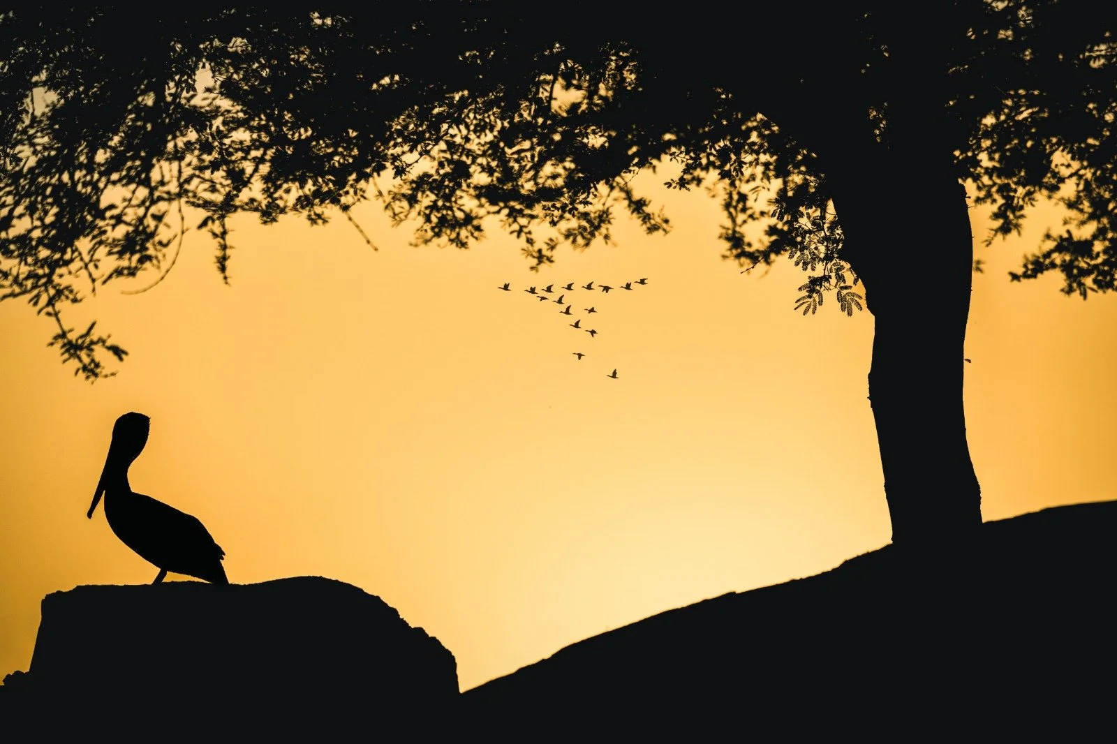 WhatsApp Image 2026-03-07 at 1.23.26 PM.jpeg