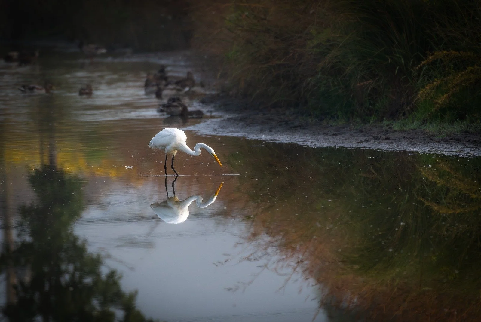 WhatsApp Image 2025-09-12 at 5.25.27 PM.jpeg