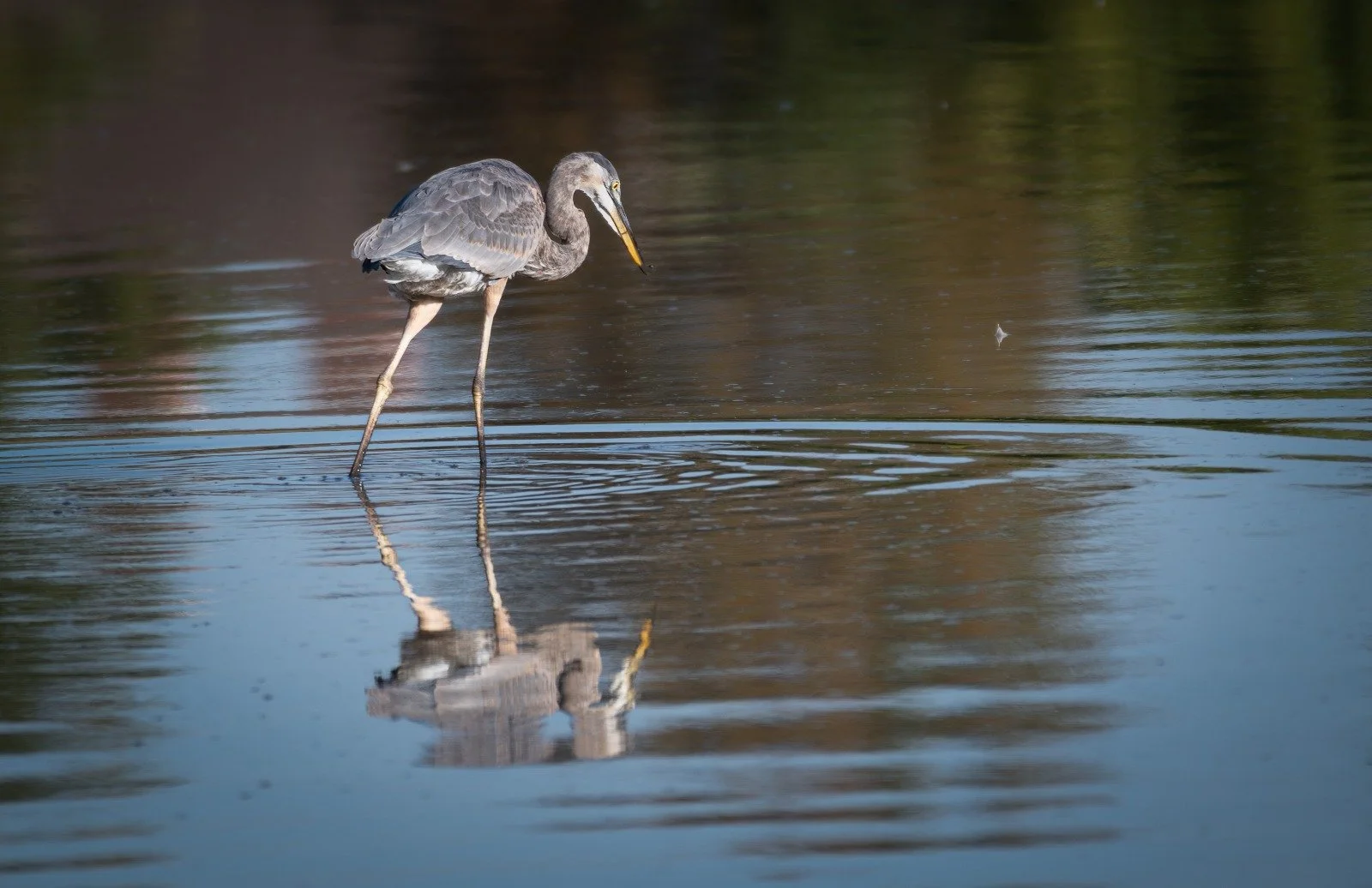 WhatsApp Image 2025-09-16 at 10.42.28 AM.jpeg