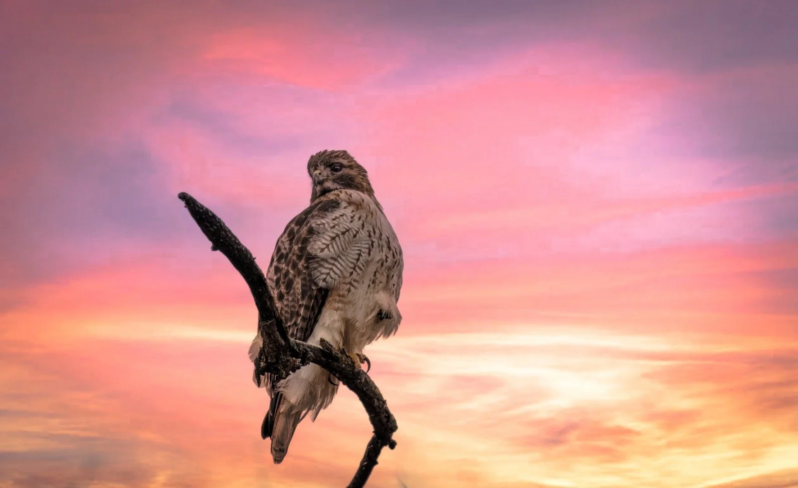 WhatsApp Image 2026-01-17 at 12.20.33 PM.jpeg