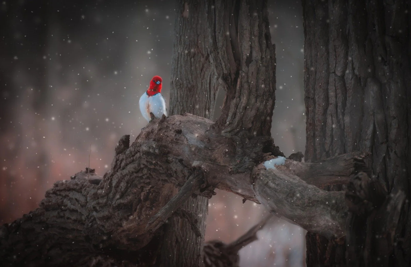 WhatsApp Image 2026-03-05 at 3.13.03 PM.jpeg