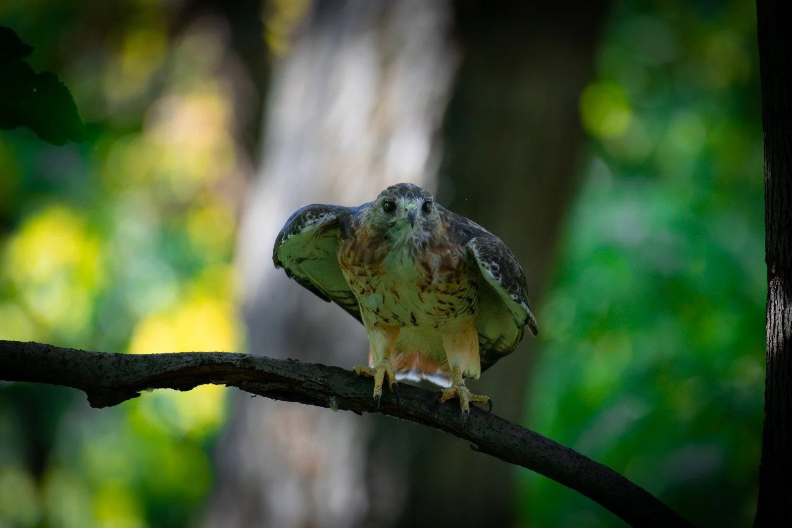 WhatsApp Image 2025-09-08 at 8.28.49 PM.jpeg