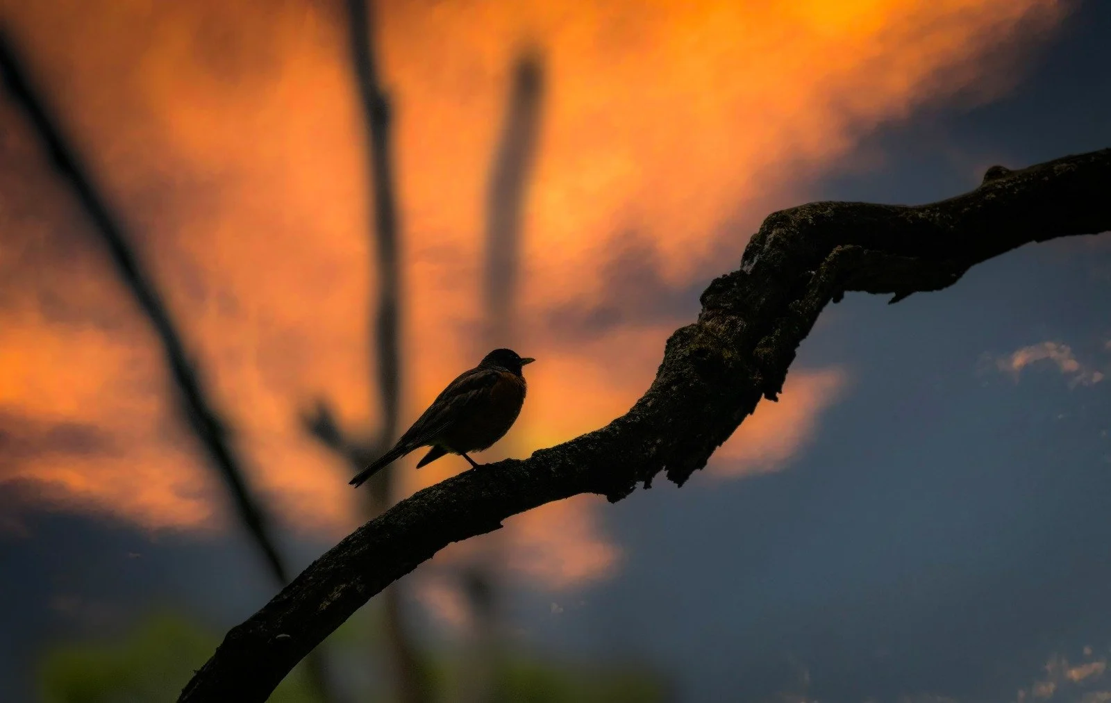 WhatsApp Image 2025-09-03 at 6.44.38 PM.jpeg