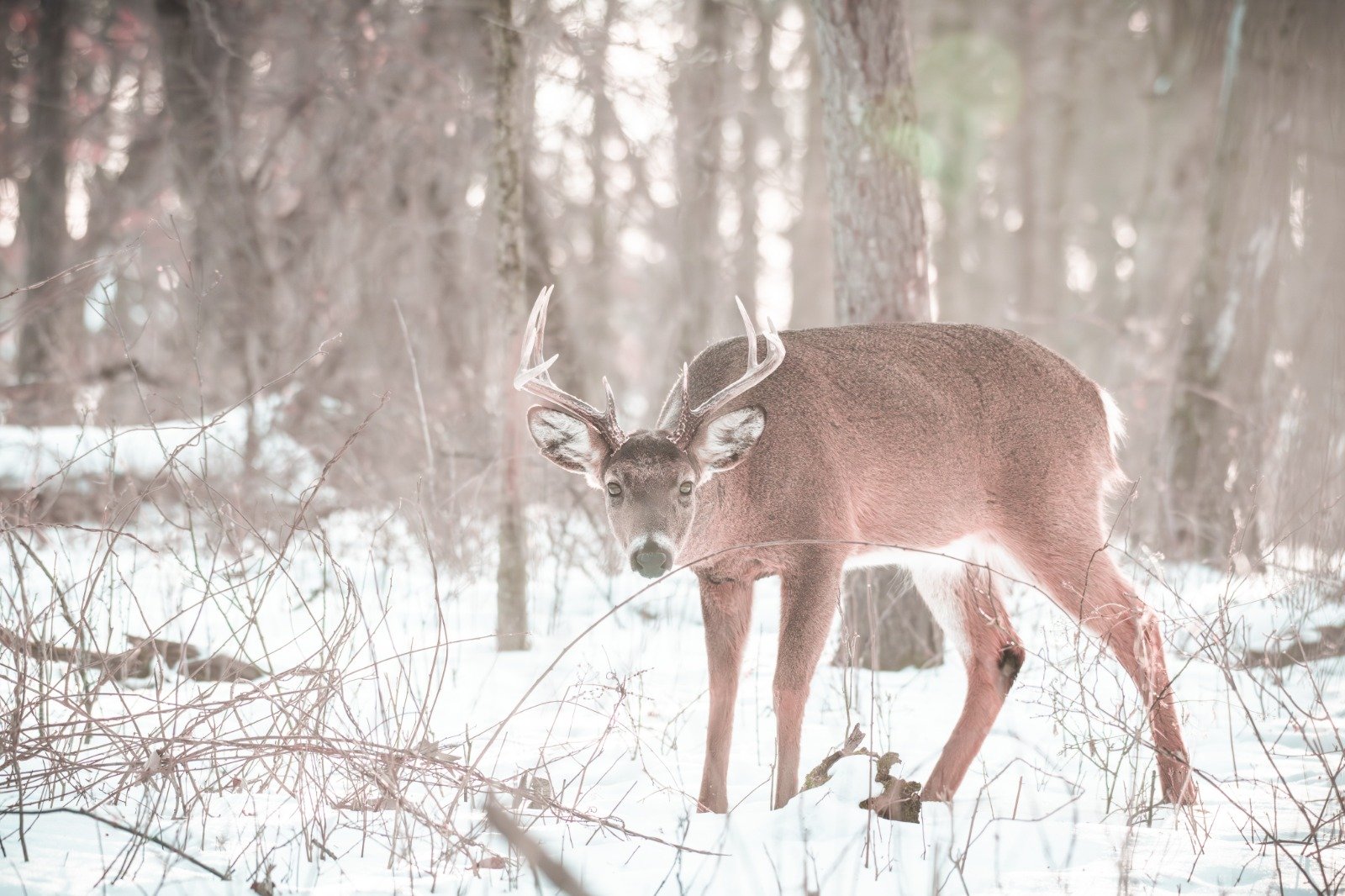 WhatsApp Image 2026-02-04 at 8.15.03 PM.jpeg