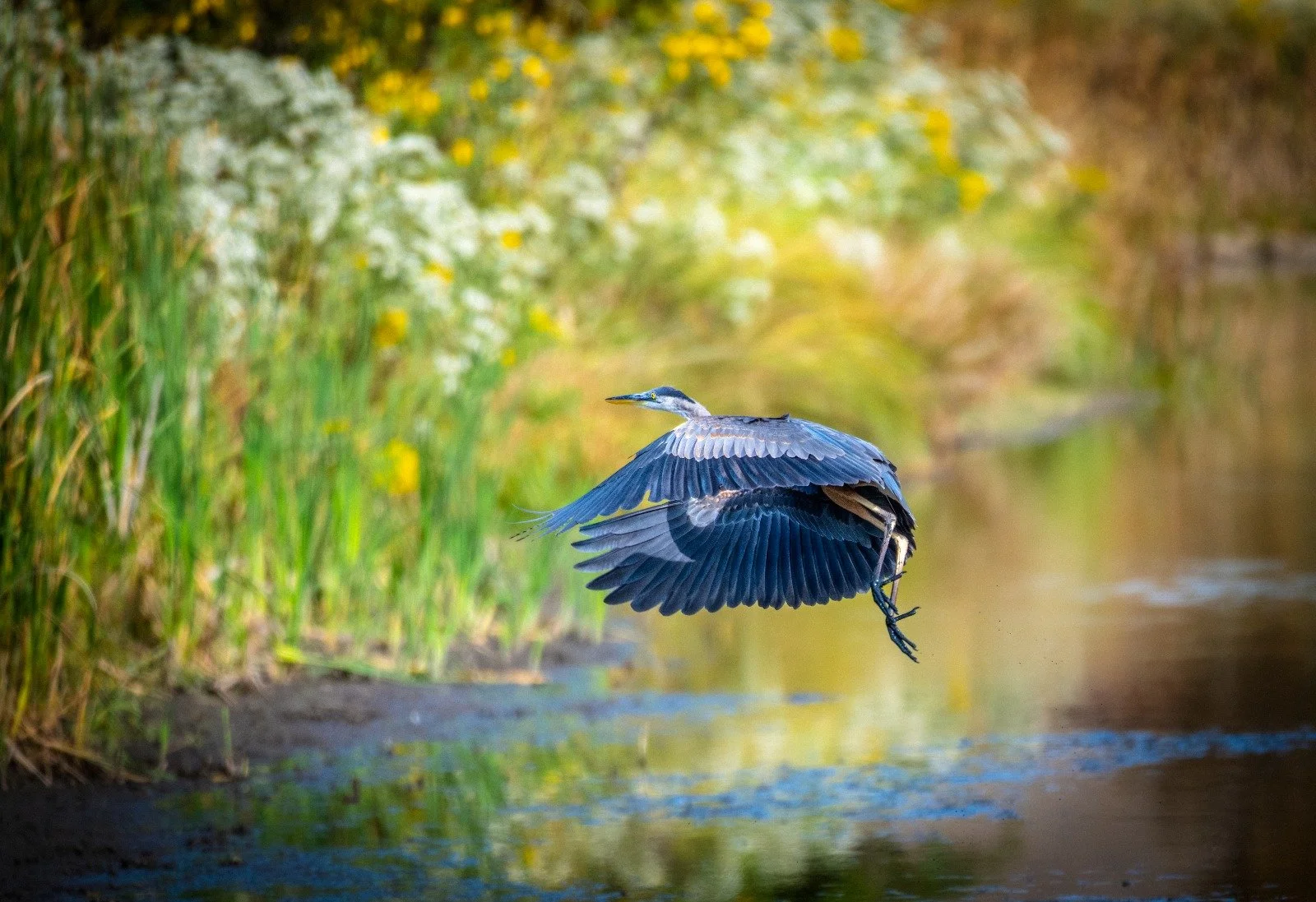 WhatsApp Image 2025-09-22 at 8.01.19 PM.jpeg