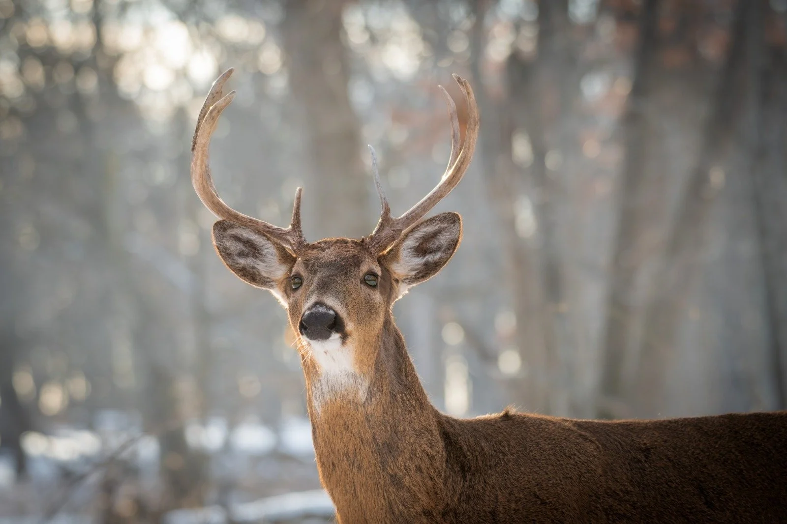 WhatsApp Image 2026-02-05 at 12.57.12 AM.jpeg