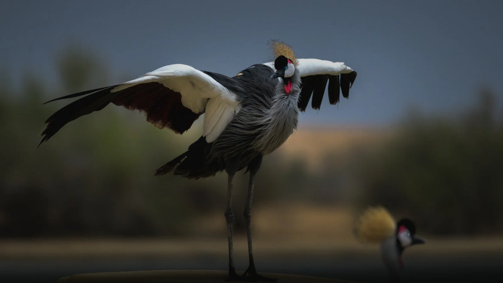 WhatsApp Image 2026-02-22 at 1.52.24 PM.jpeg