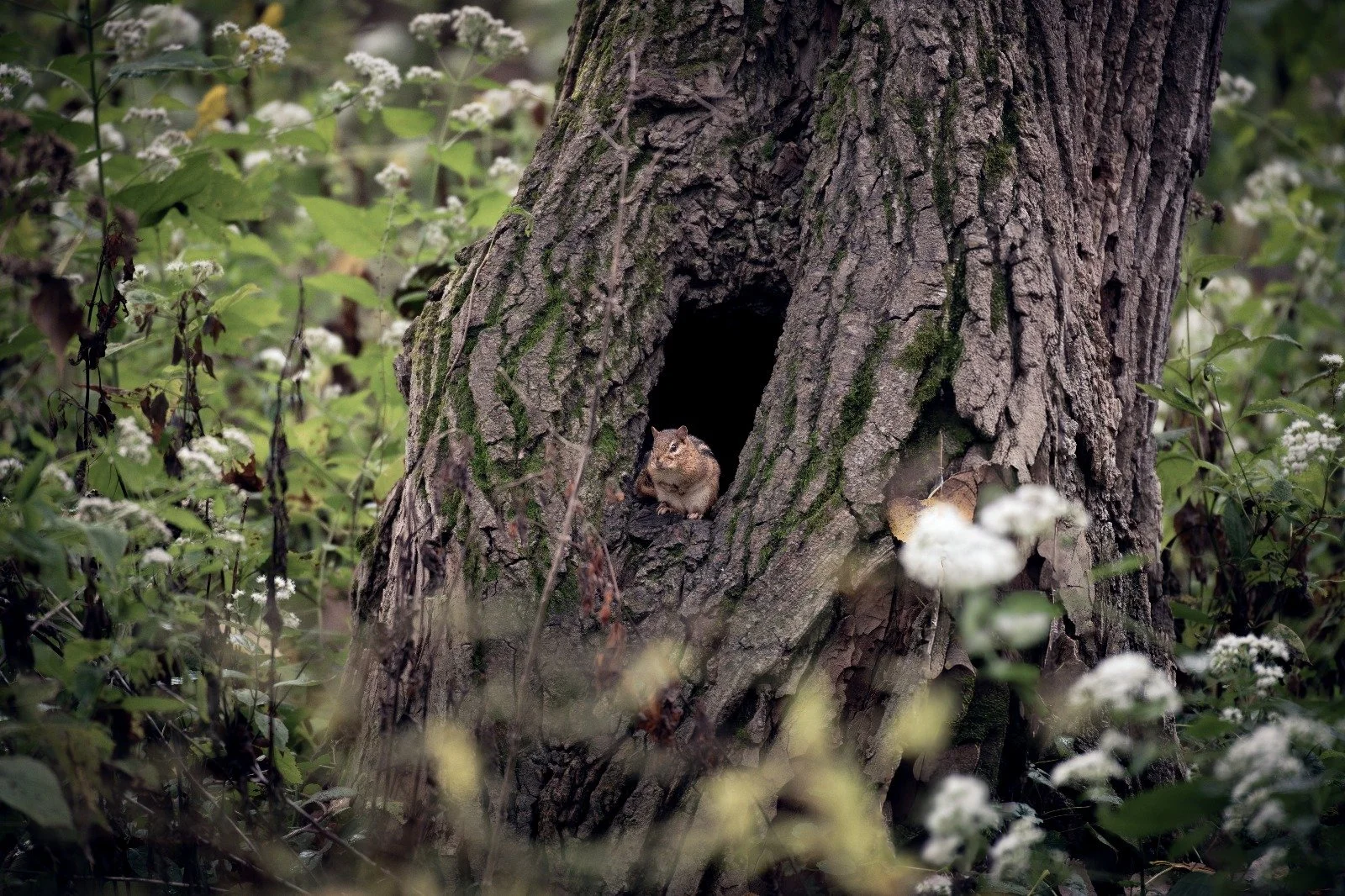 WhatsApp Image 2025-09-21 at 7.54.17 PM.jpeg