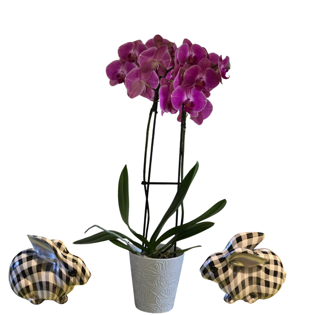 large+orchid+w+bunnies+v+2+%282%29.png