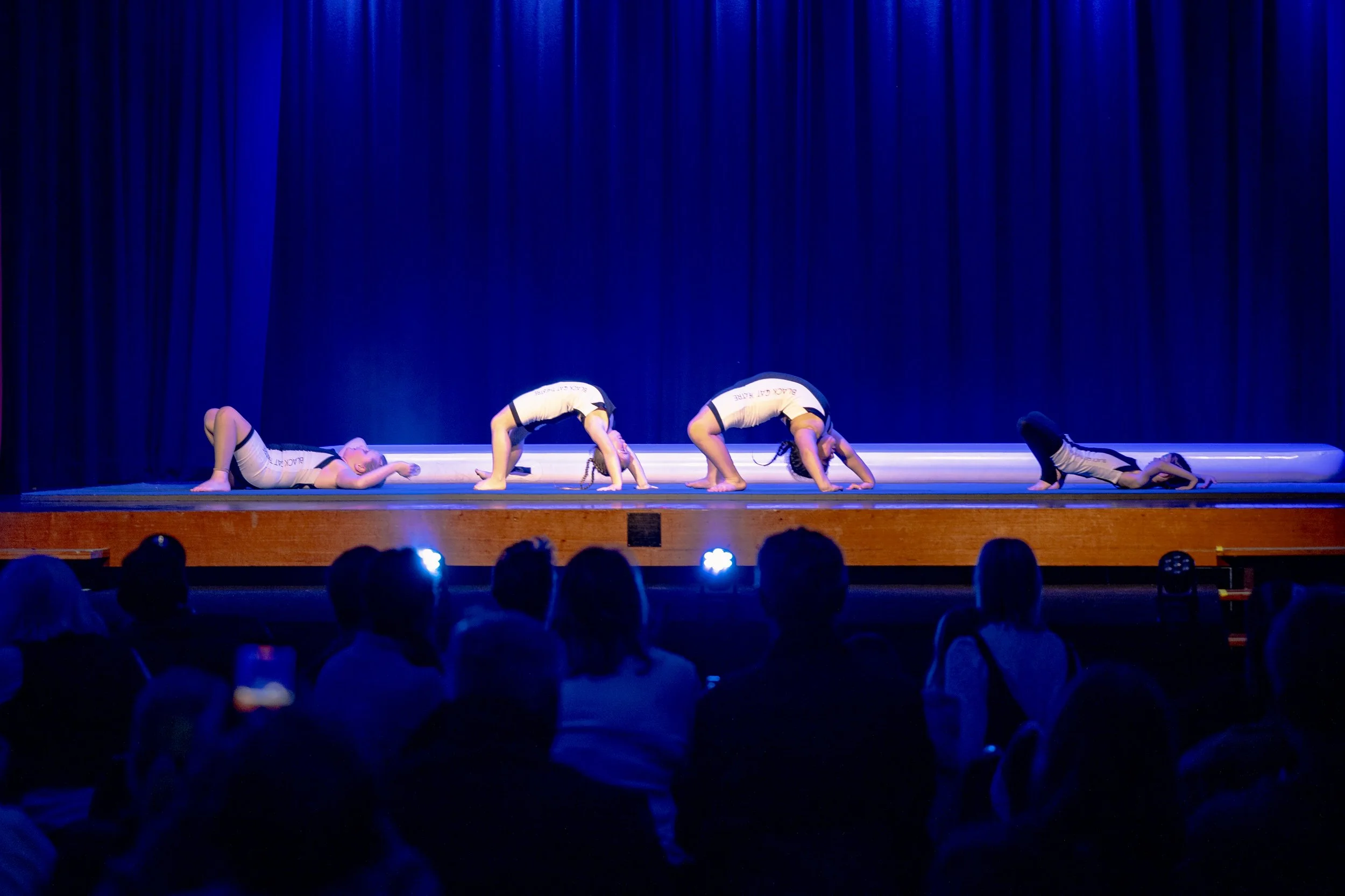 BCT_Fundraiser_2026-258.jpg
