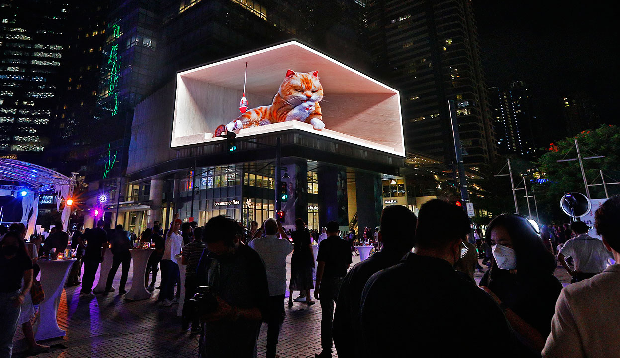 Large digital billboard displays an image of a sleeping orange tabby cat with closed eyes, inside a box, in an urban setting at night.