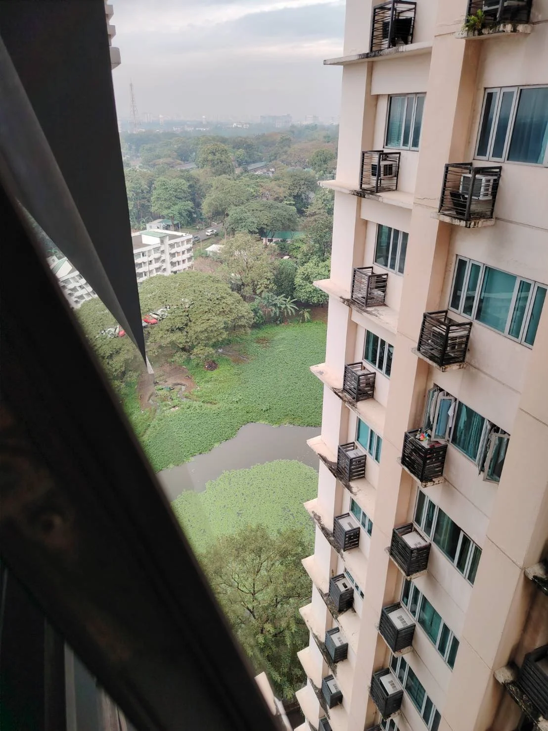 Peaceful views stretch beyond the city bustle