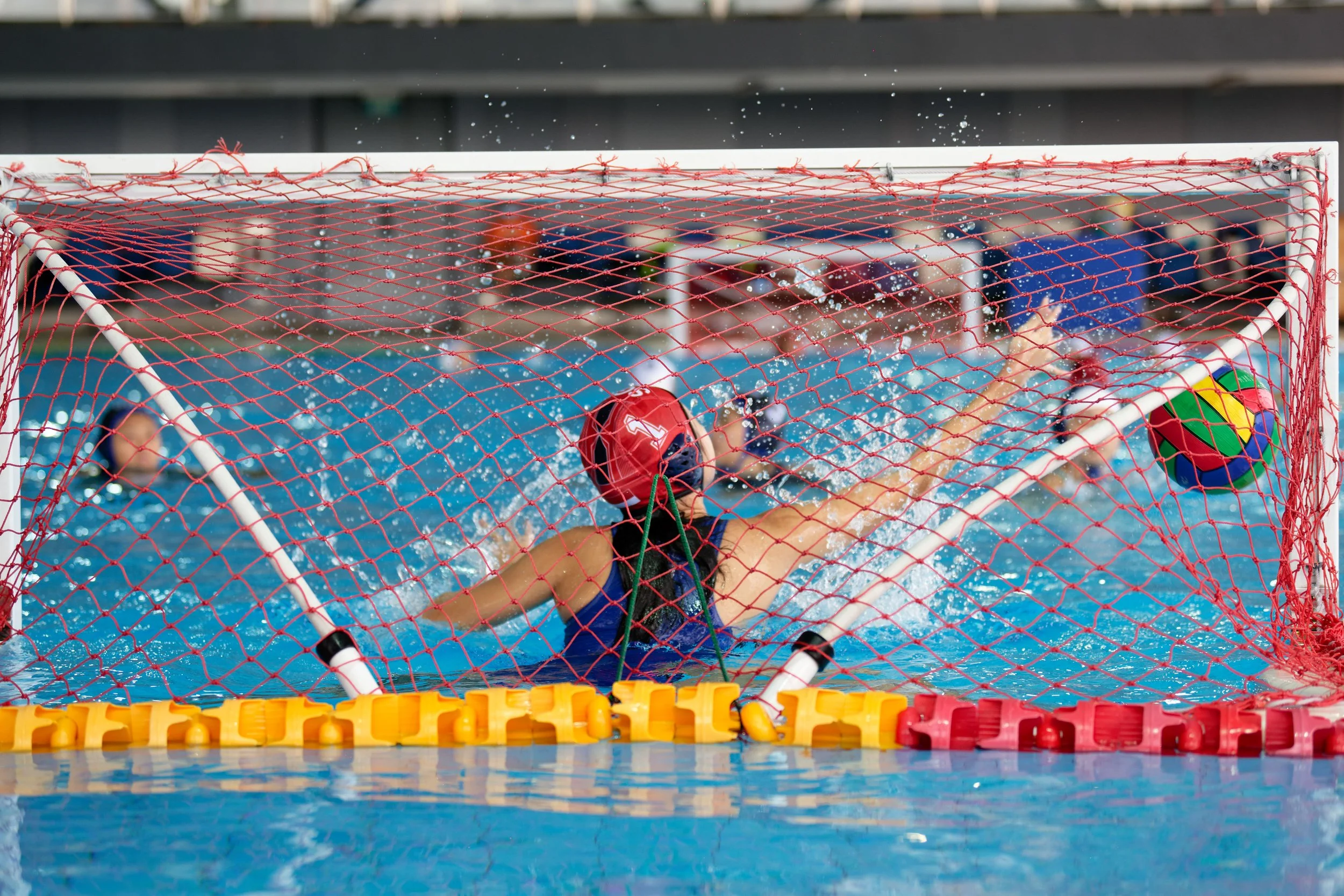 Aquatic12.jpg