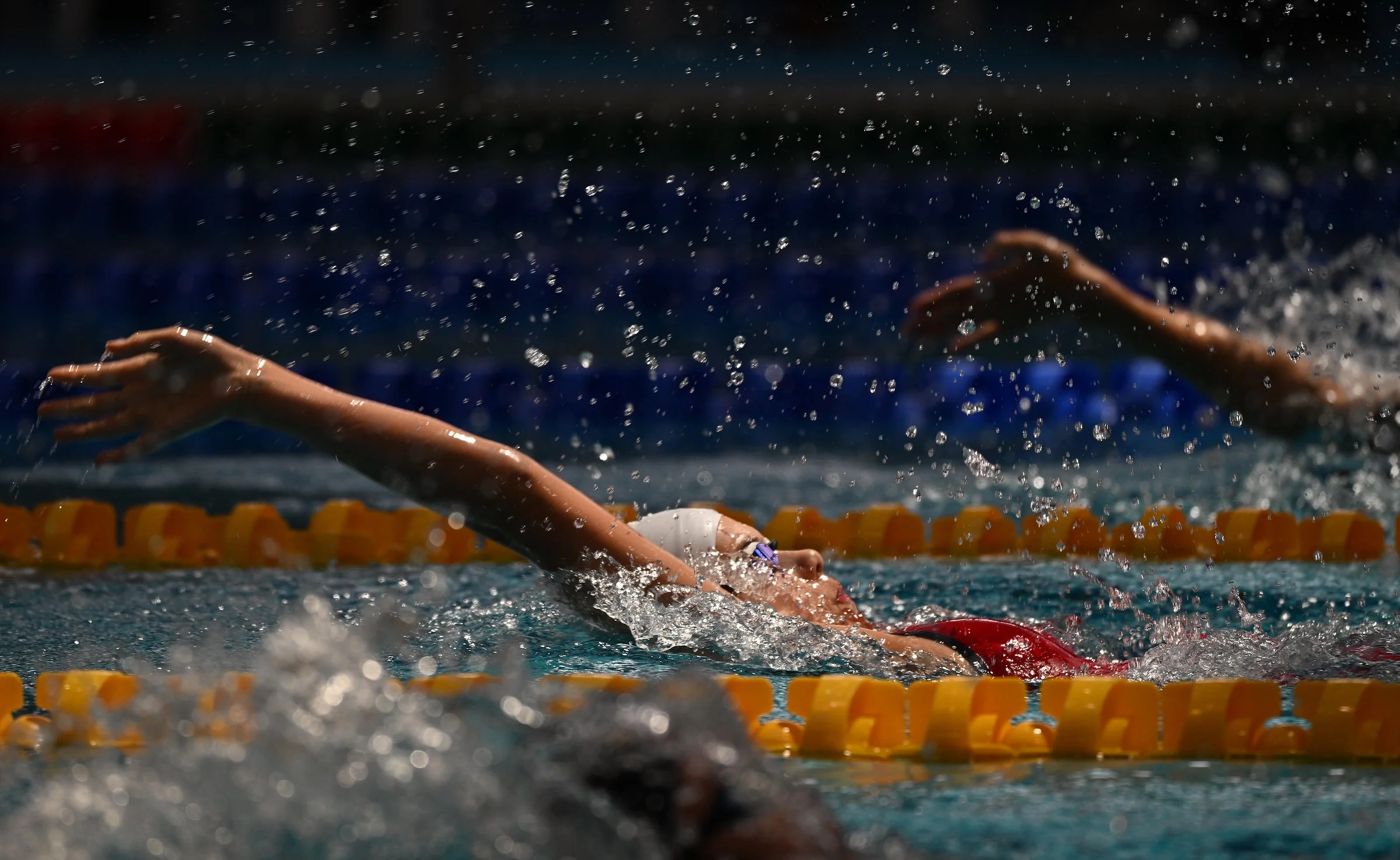 Aquatic31.JPG