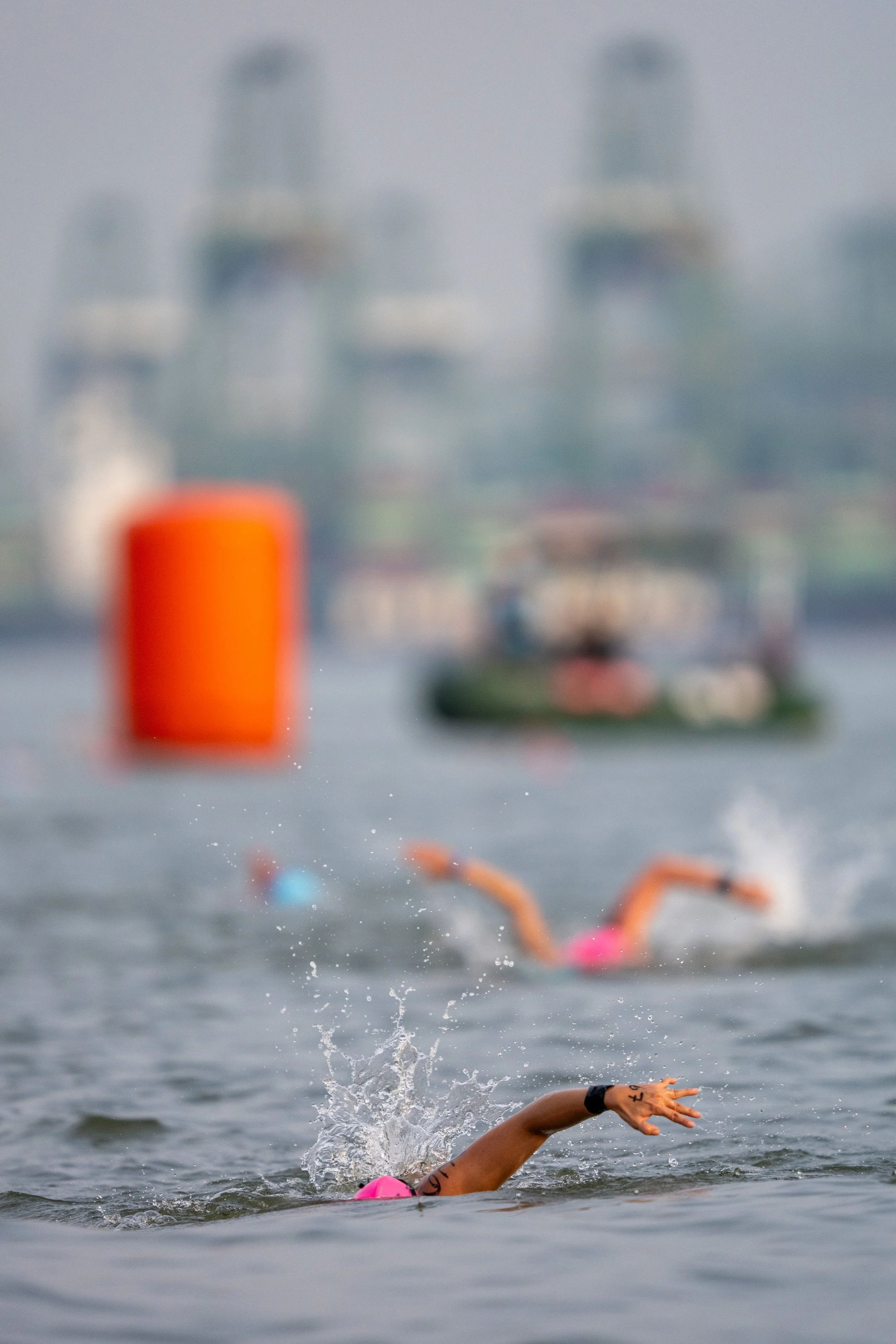 Aquatic11.JPG