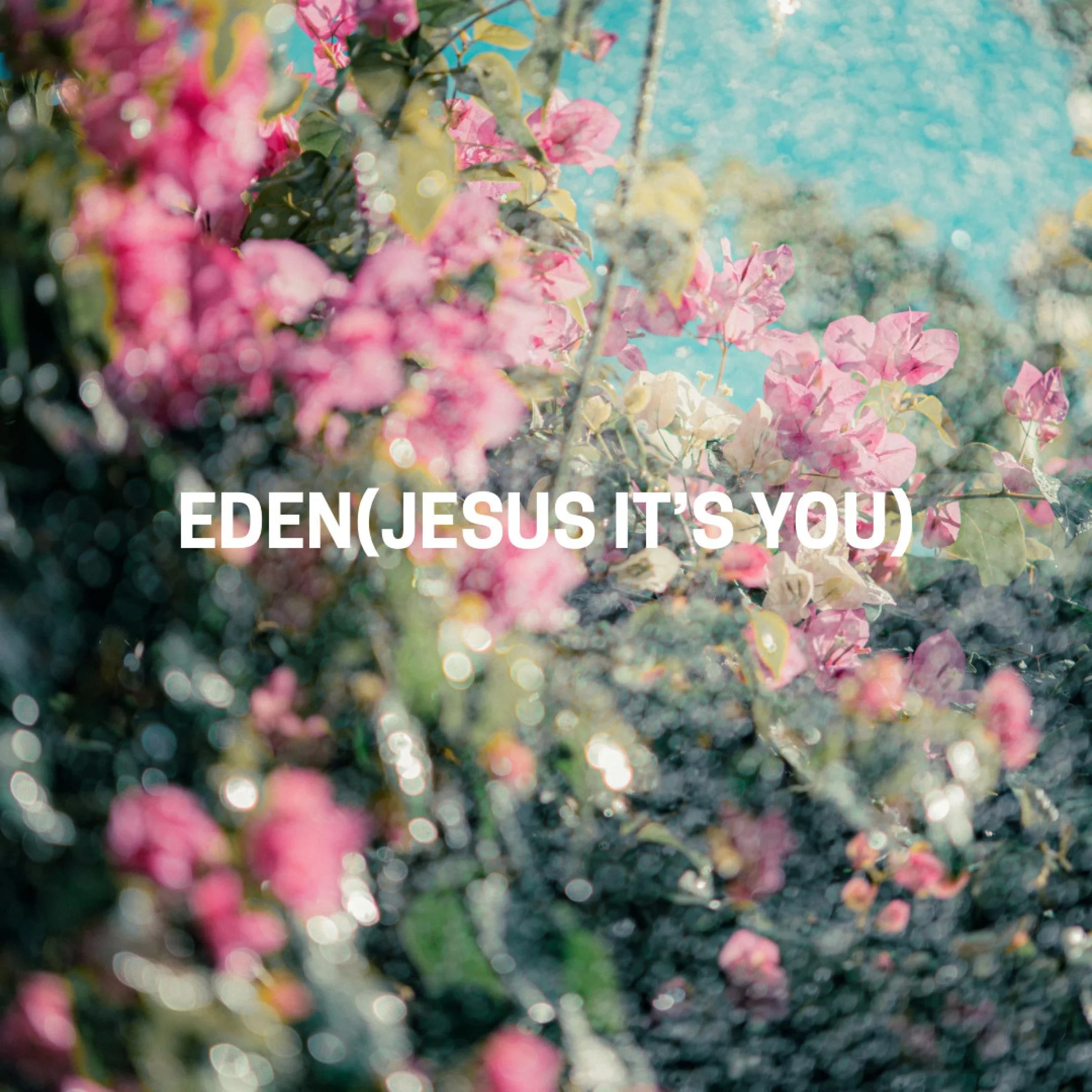 Piano, Keys Programming