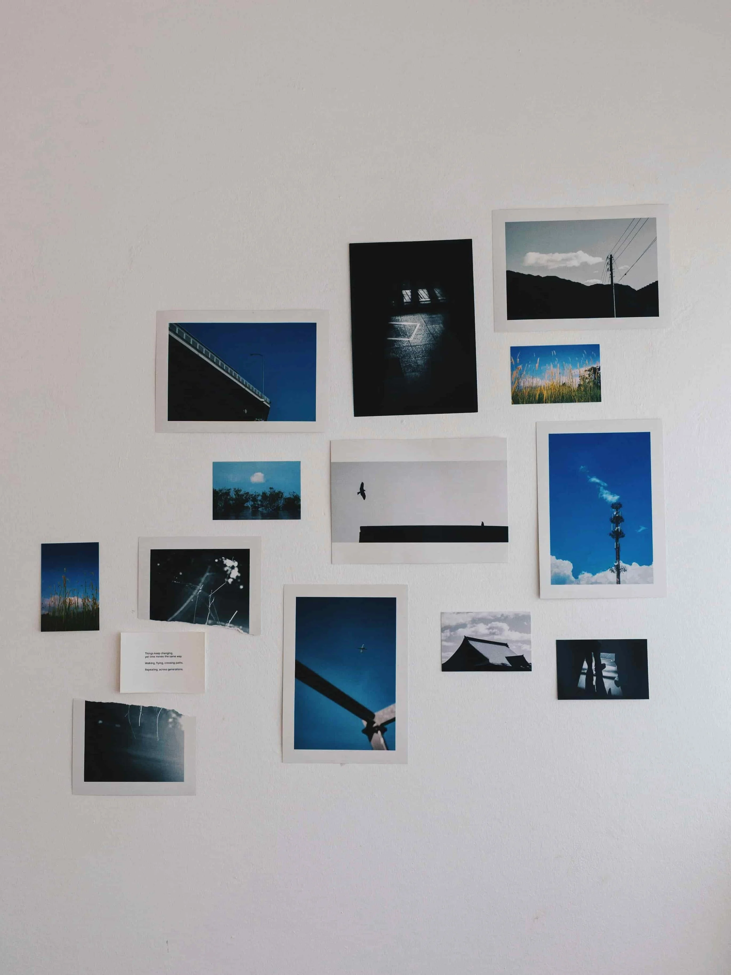 Raise Image Blocks on Hover in Squarespace 