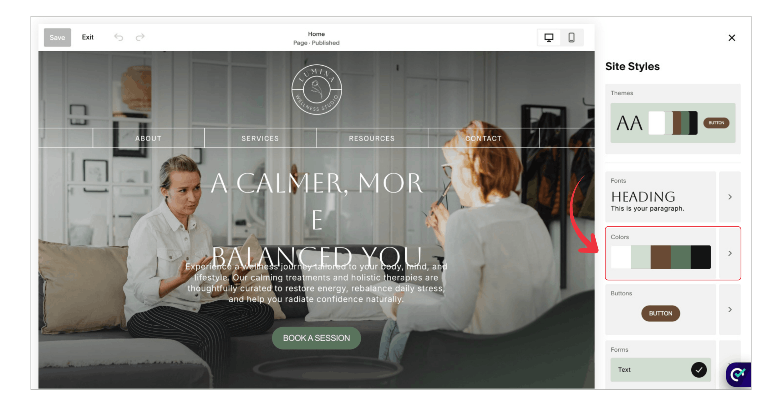 Colors option highlighted in Squarespace Site Styles to change button colour.