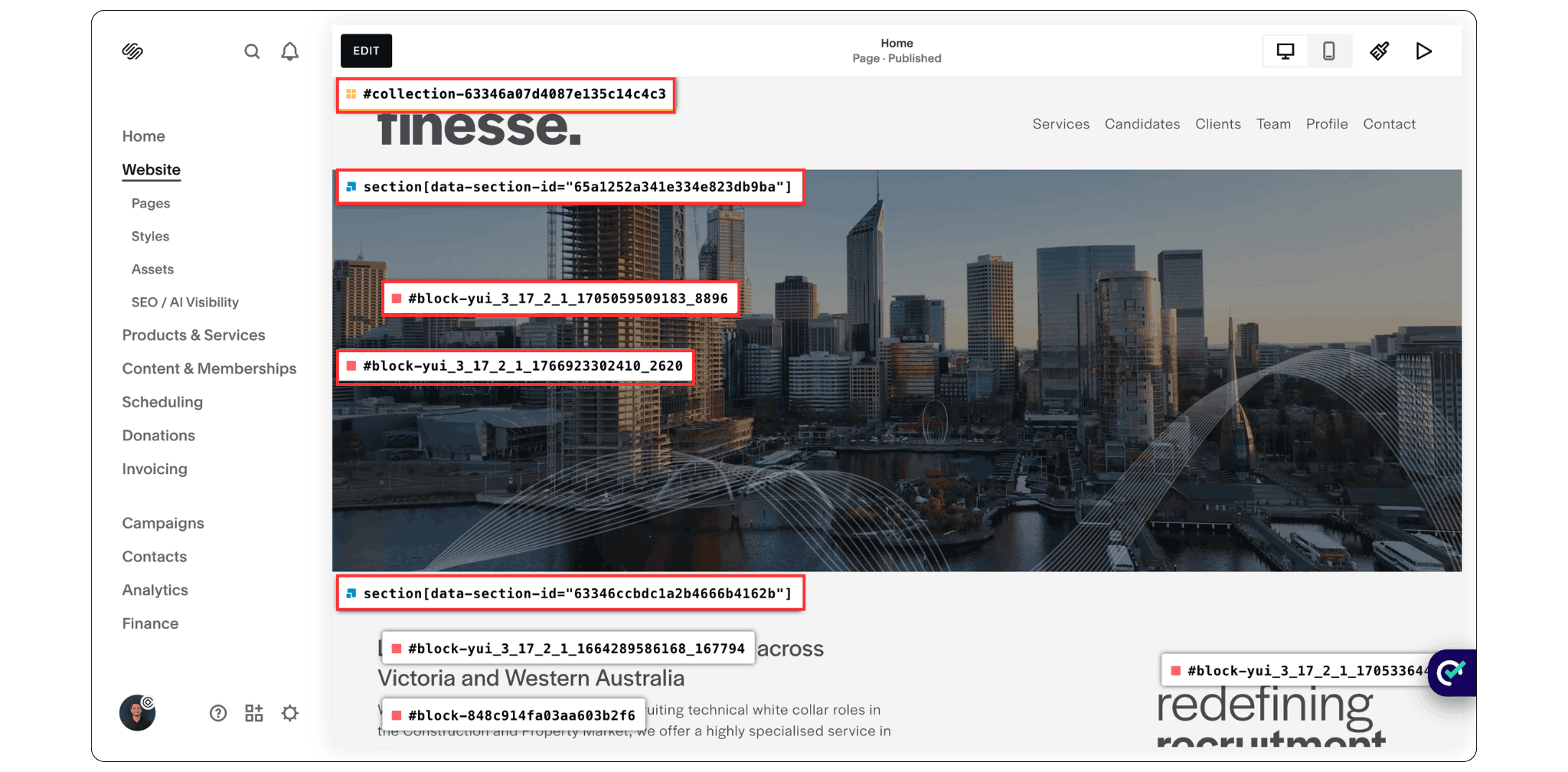 Squarespace section ID finder displaying section and block IDs on a live website page