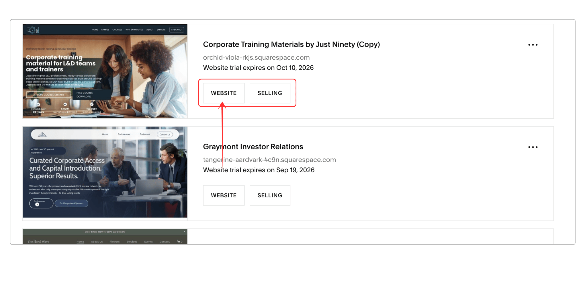 Squarespace dashboard showing websites menu before starting the ownership transfer process