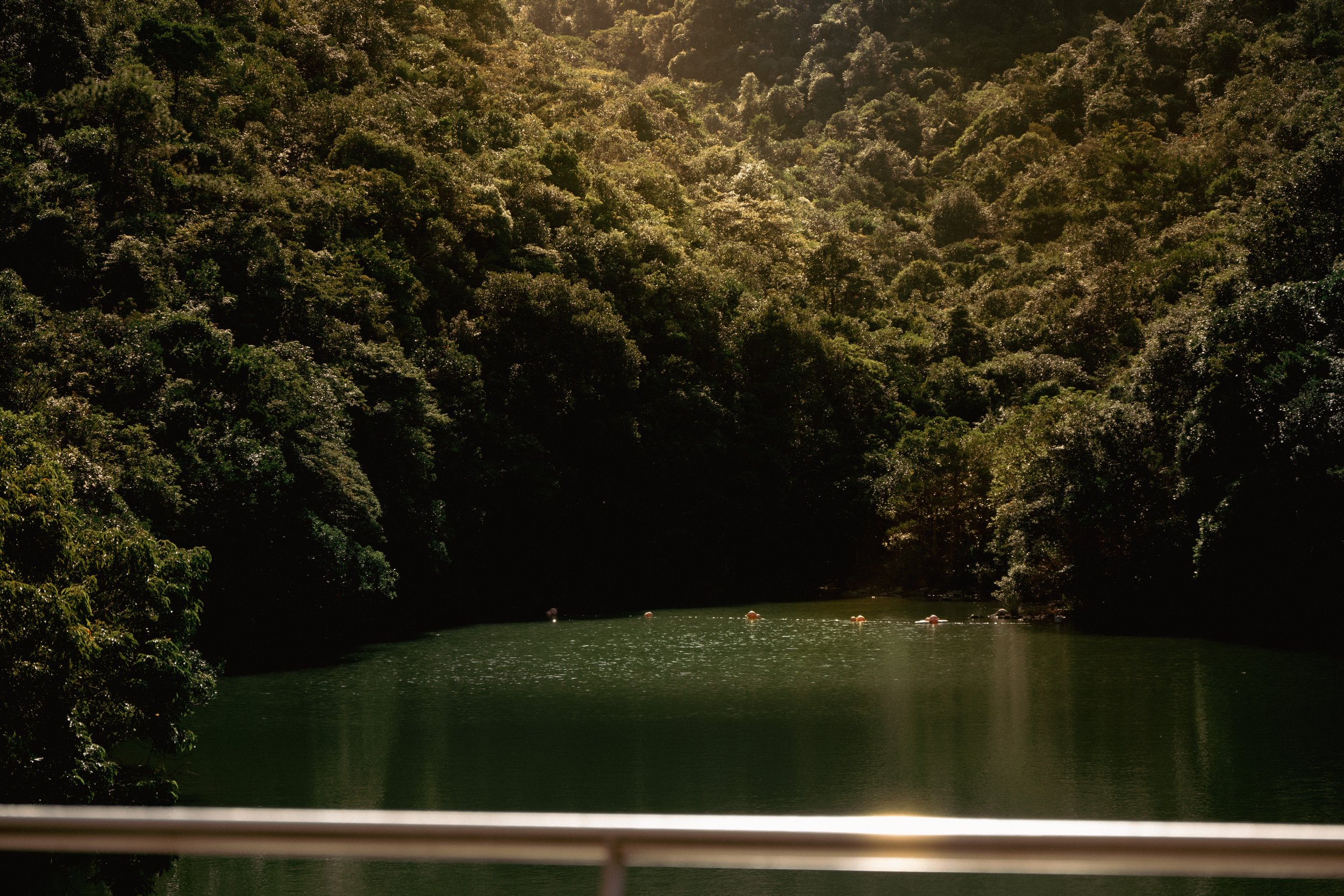Tai Tam Reservoir Historical Walk landscape photo - light between