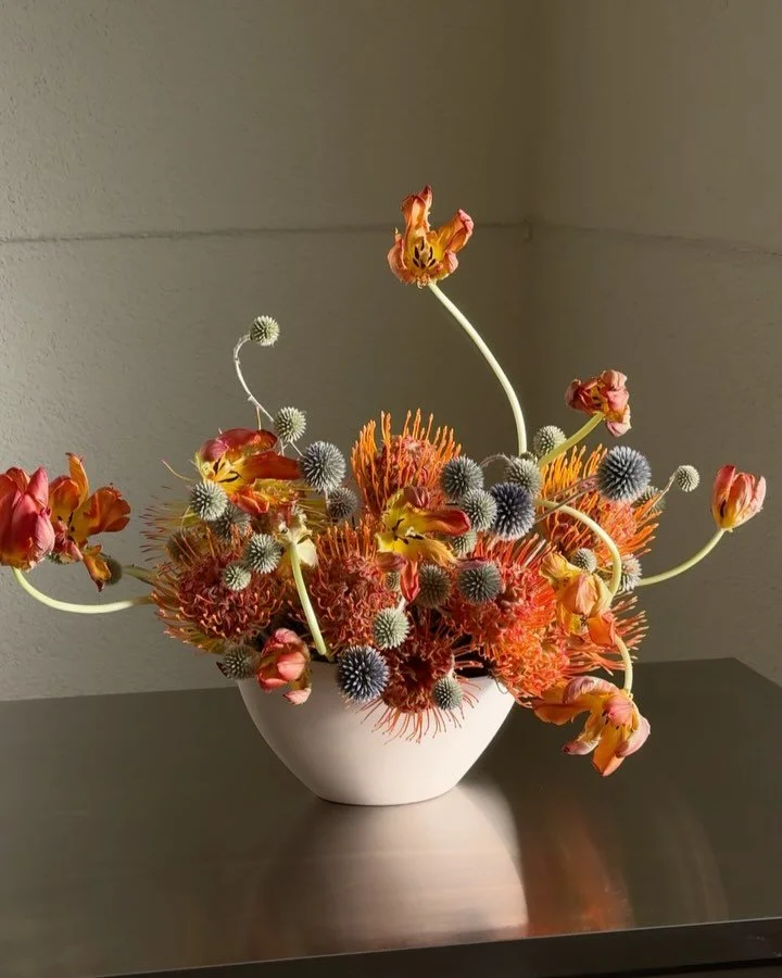 Let them do their tricks.