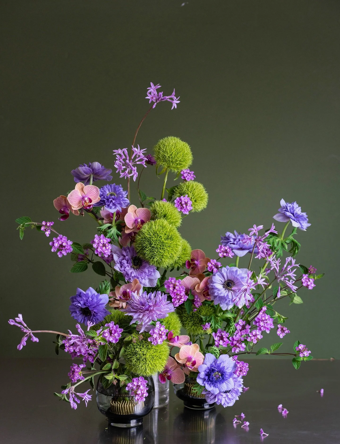 Locally grown anemones and dianthus x things from my front yard 👾🌿