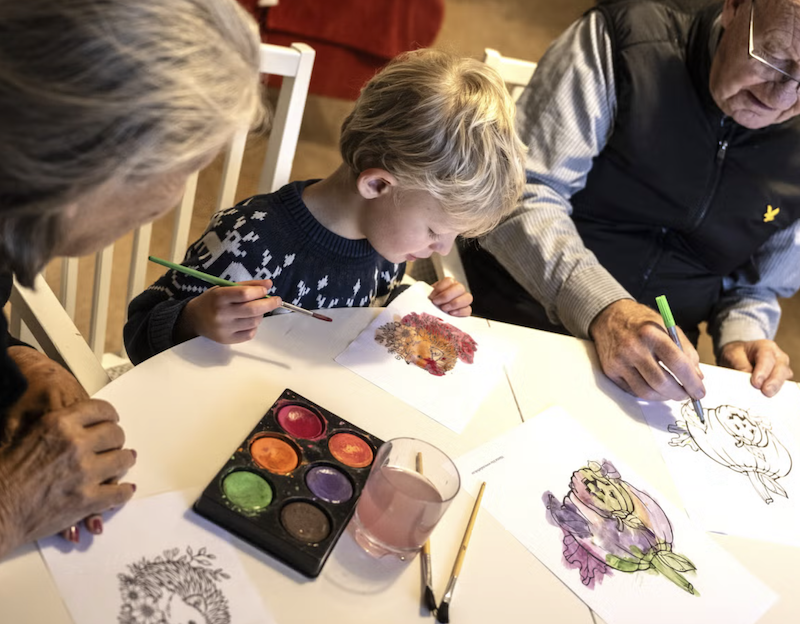 HD.se - Ängen besöker Almgården