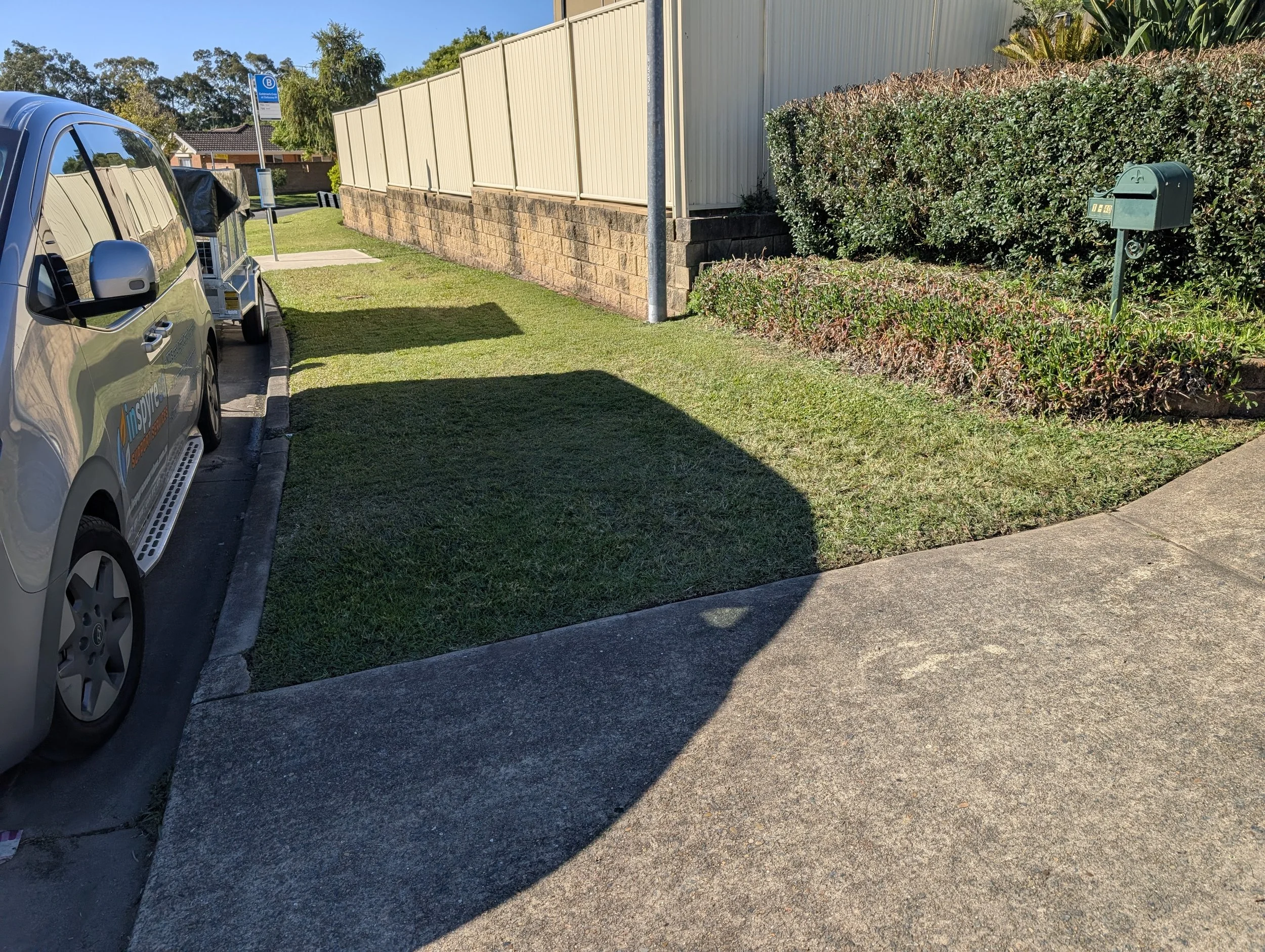 Front Lawn Lineup.jpg