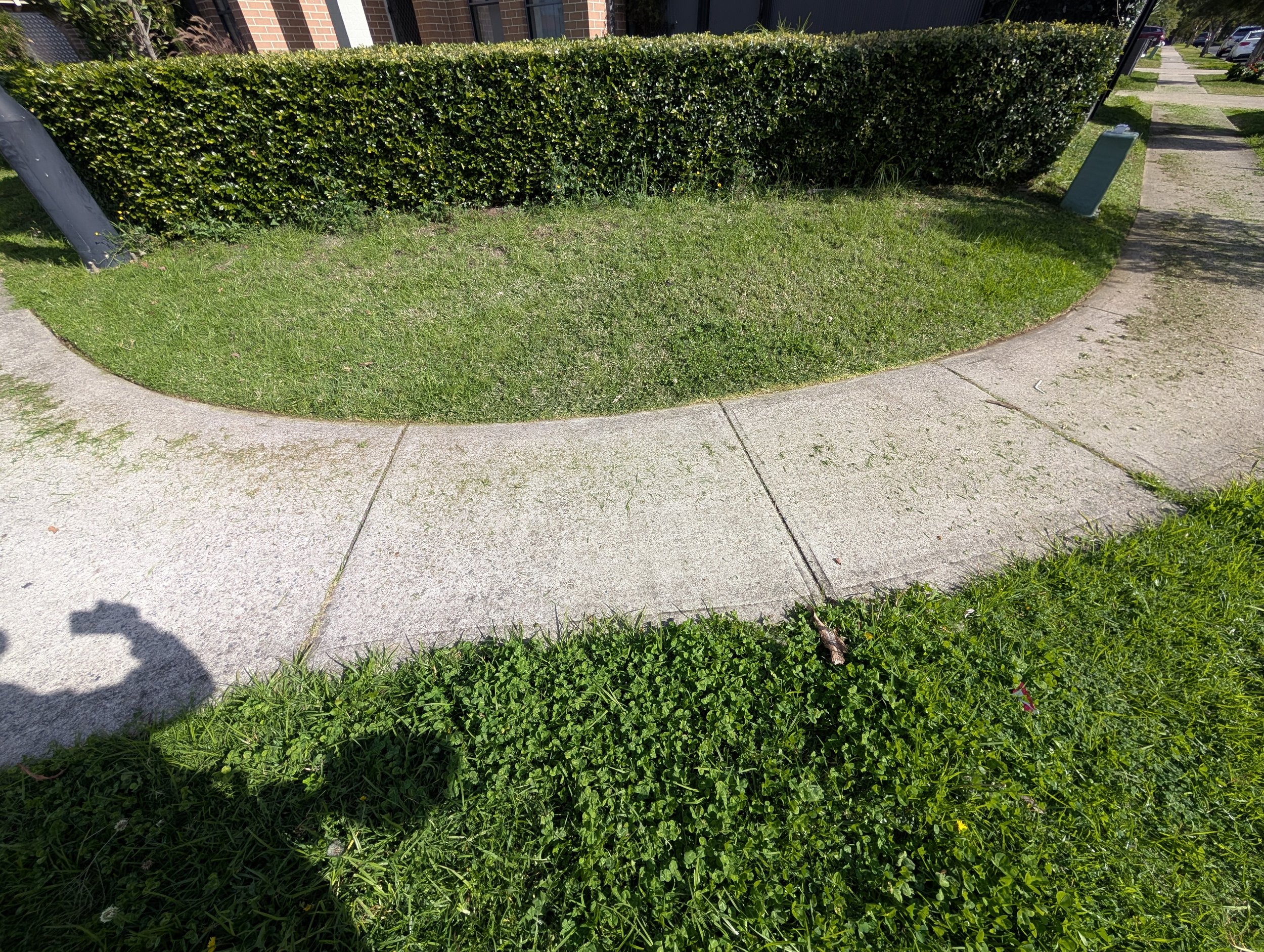 Lawn Curve section.jpg