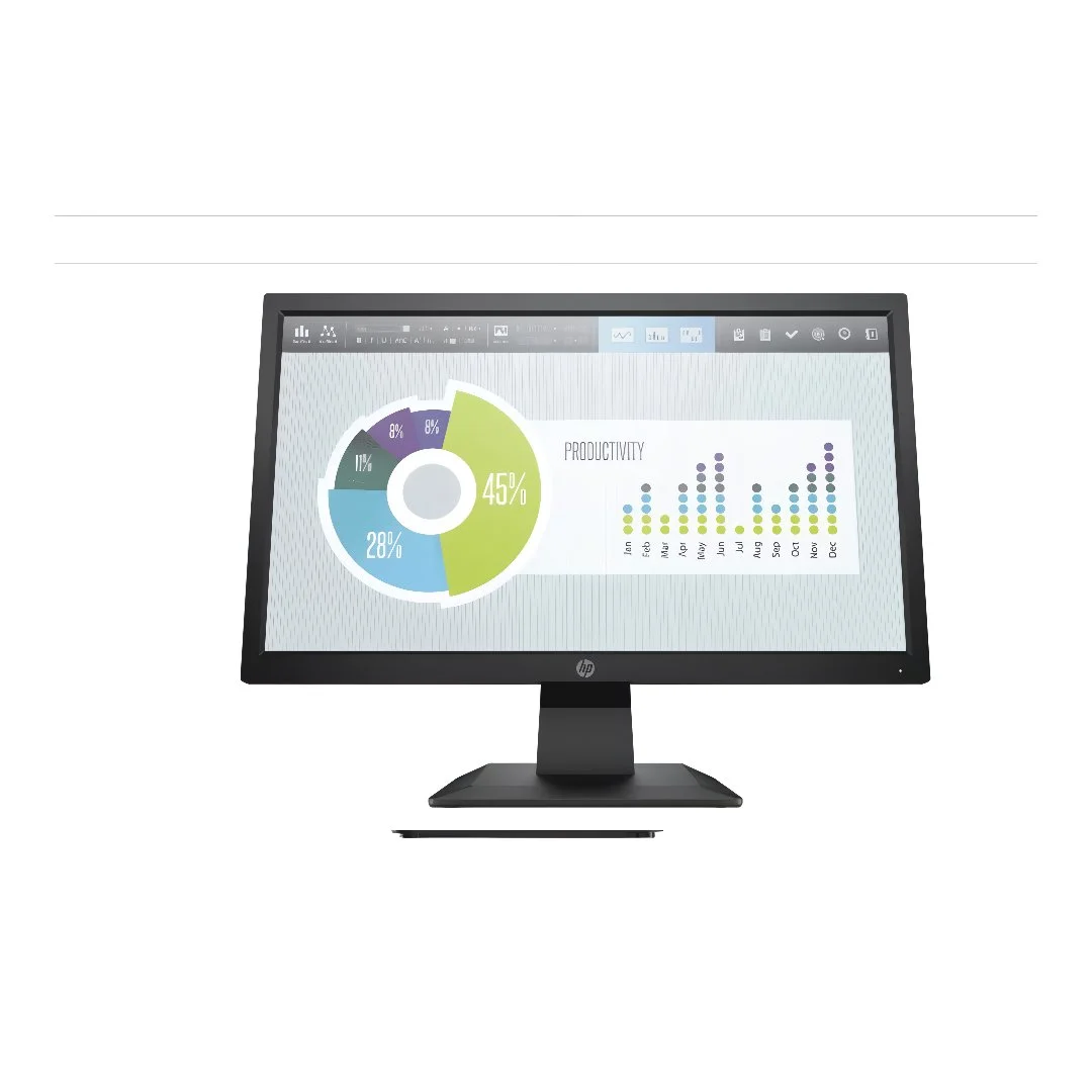 HP P204v Monitor 19.5