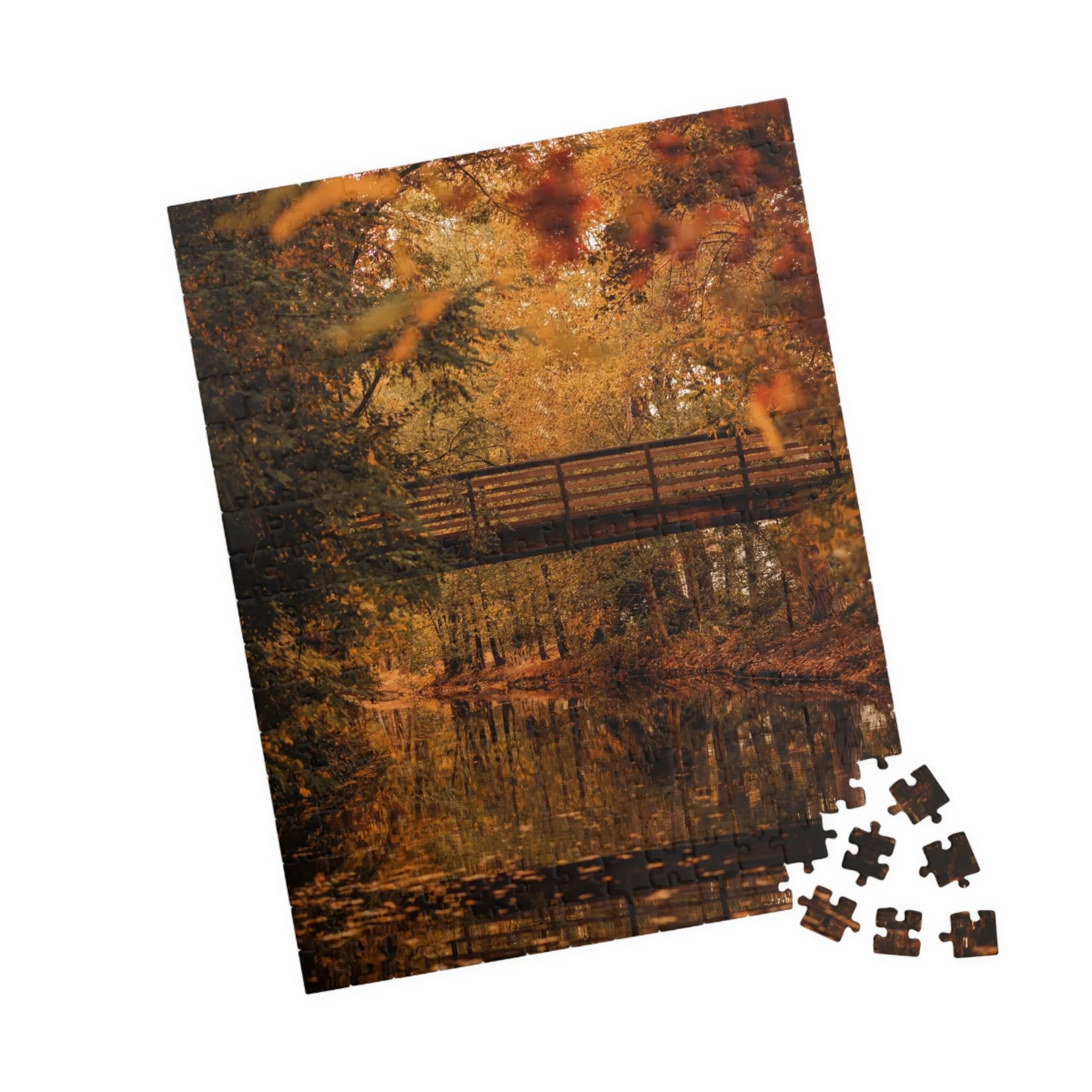 boise-greenbelt-fall-puzzle-in-progress.jpg