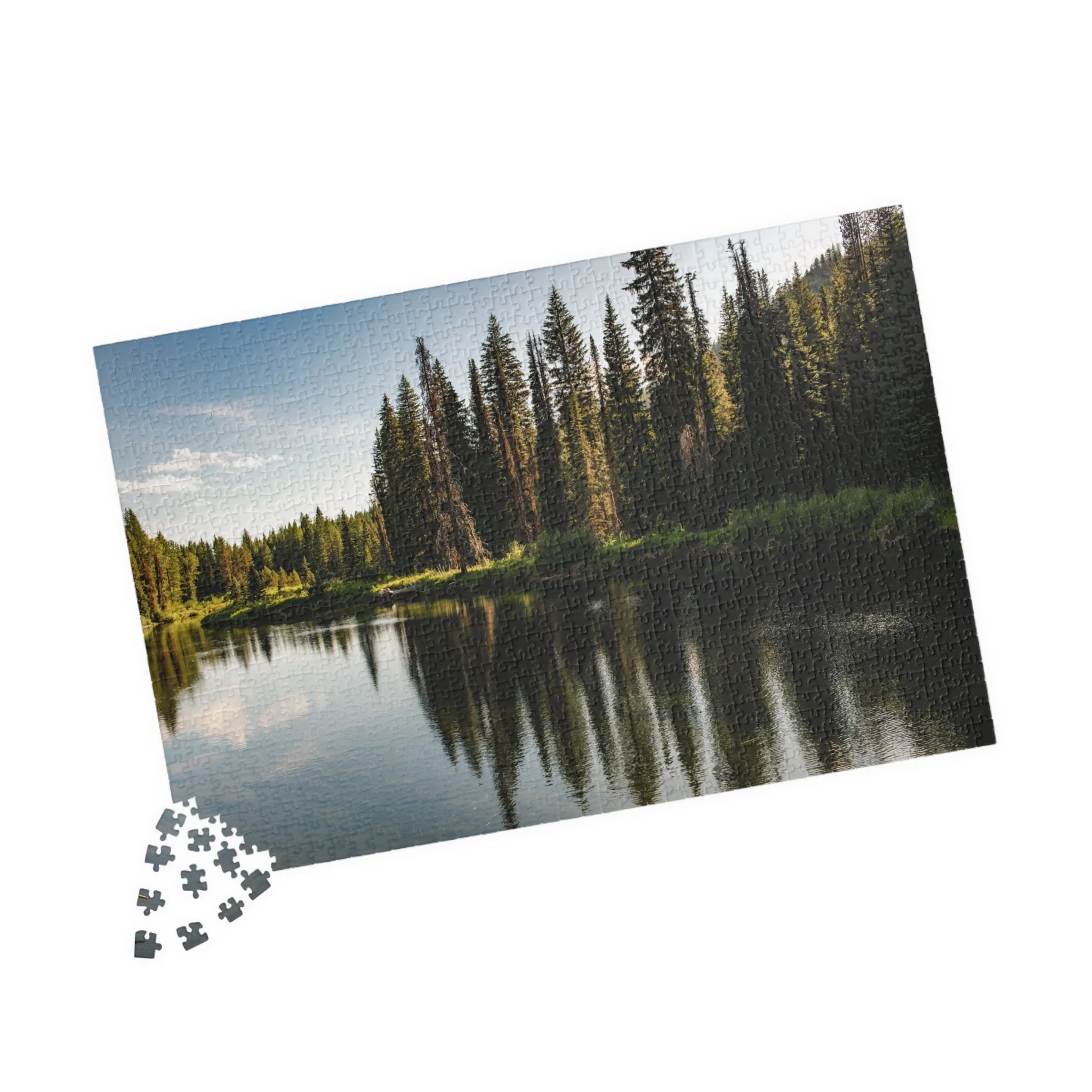 mccall-reflections-puzzle-in-progress.jpg