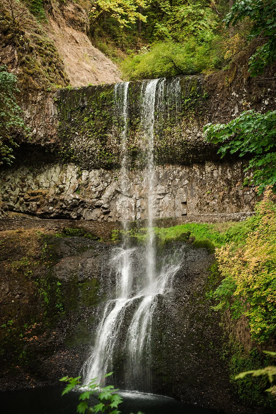 Oregon trip-9708.jpg