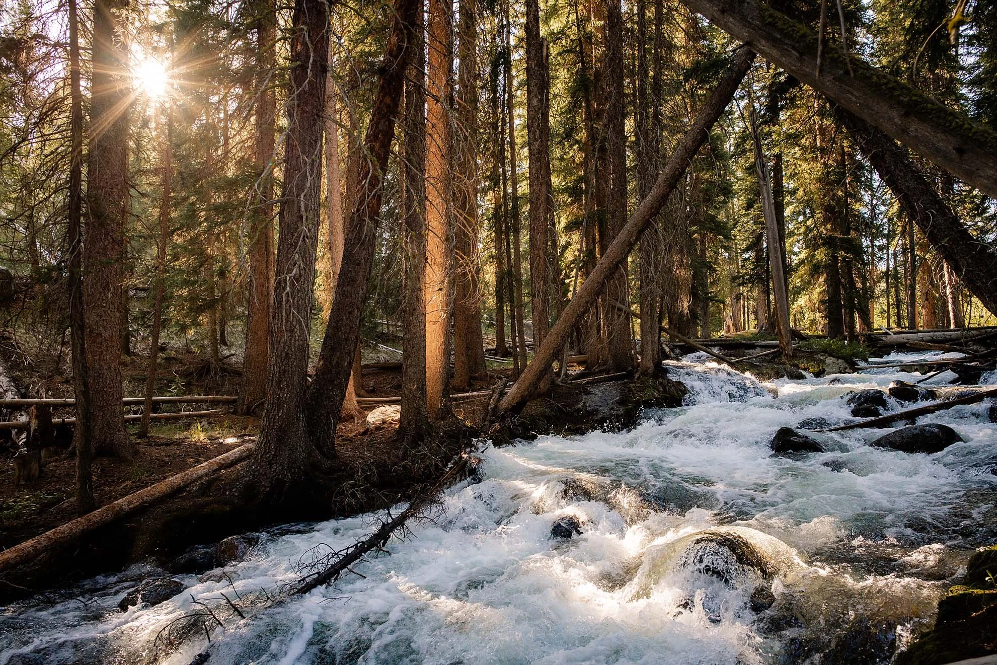 622 Sawtooths-6075.jpeg