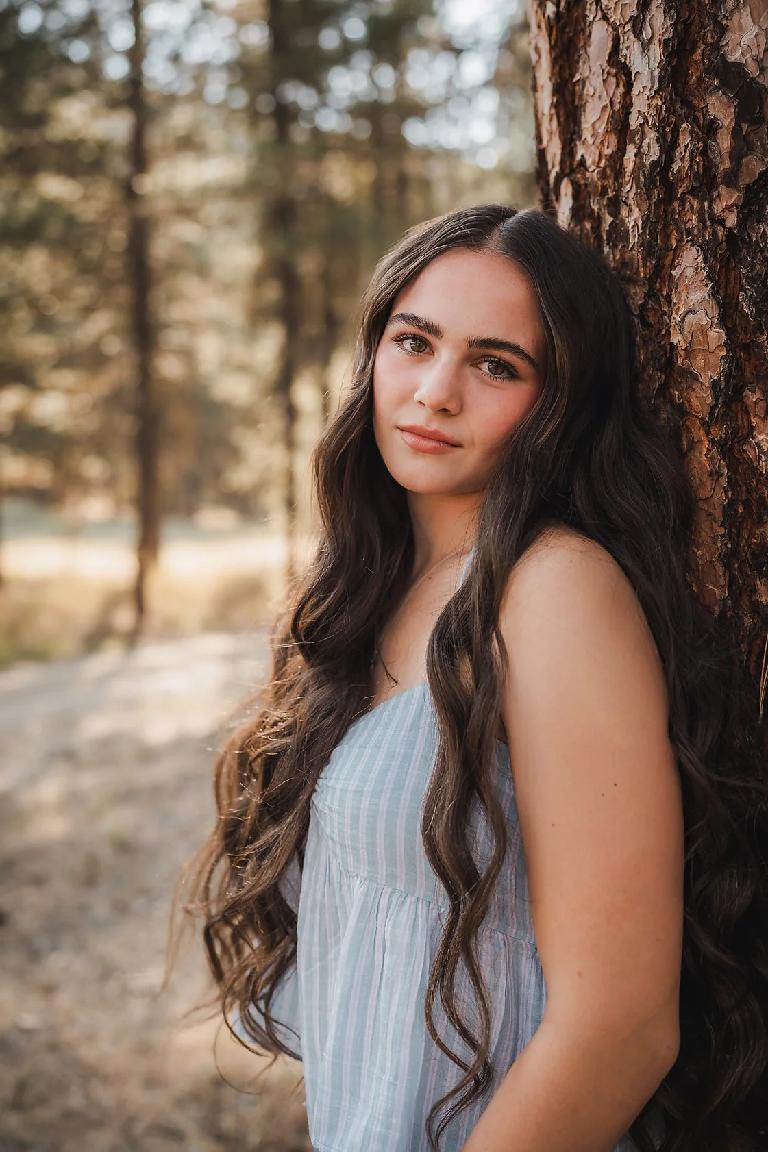 Eagle High School senior girl in a blue dress leaning against a tall pine tree in a sunlit Garden Valley Idaho forest during her senior session