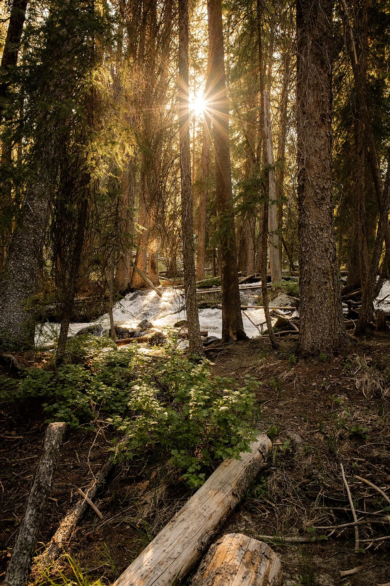 622Sawtooths-6080RS.jpg