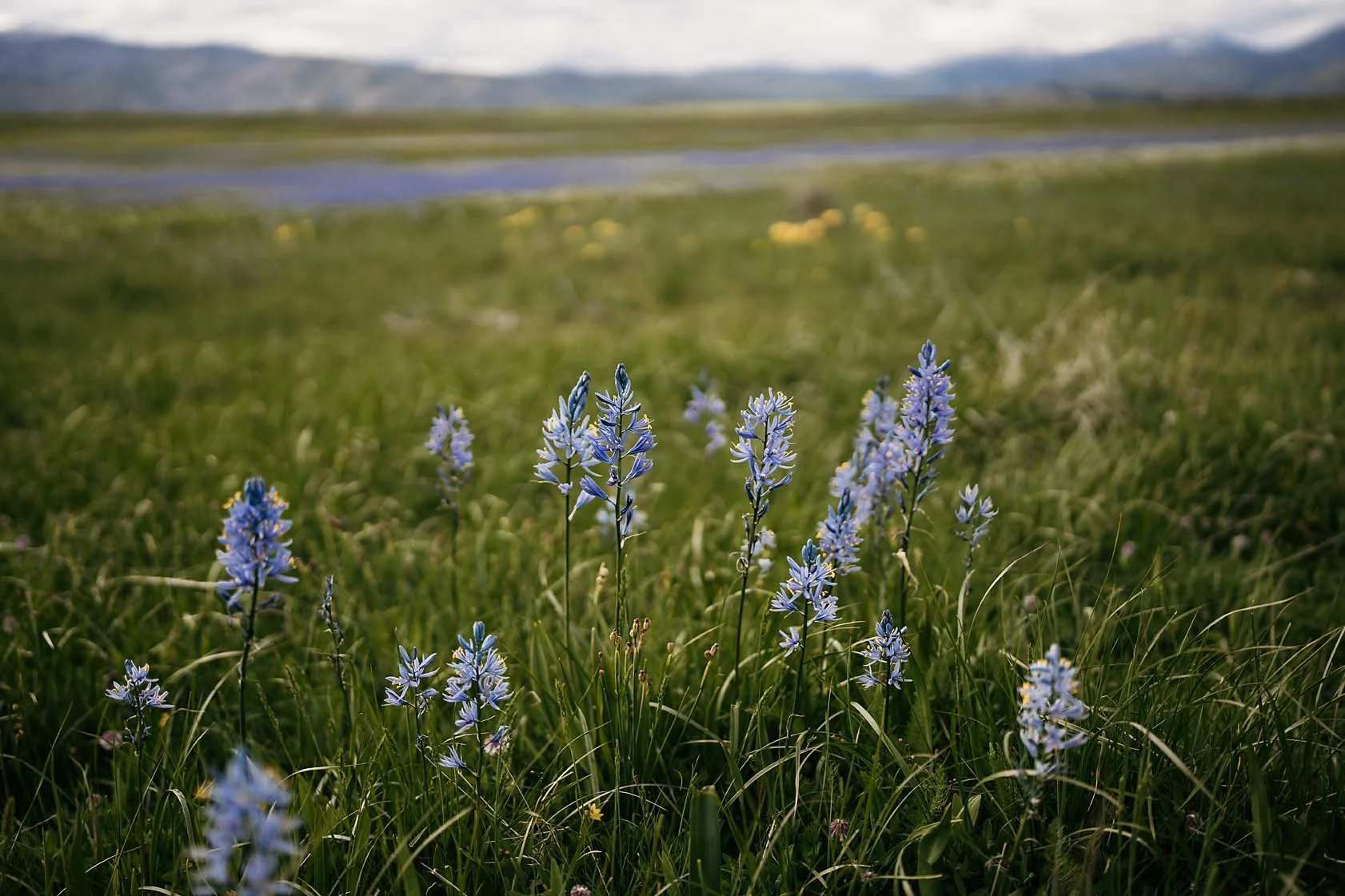 25Camas-00035.jpeg