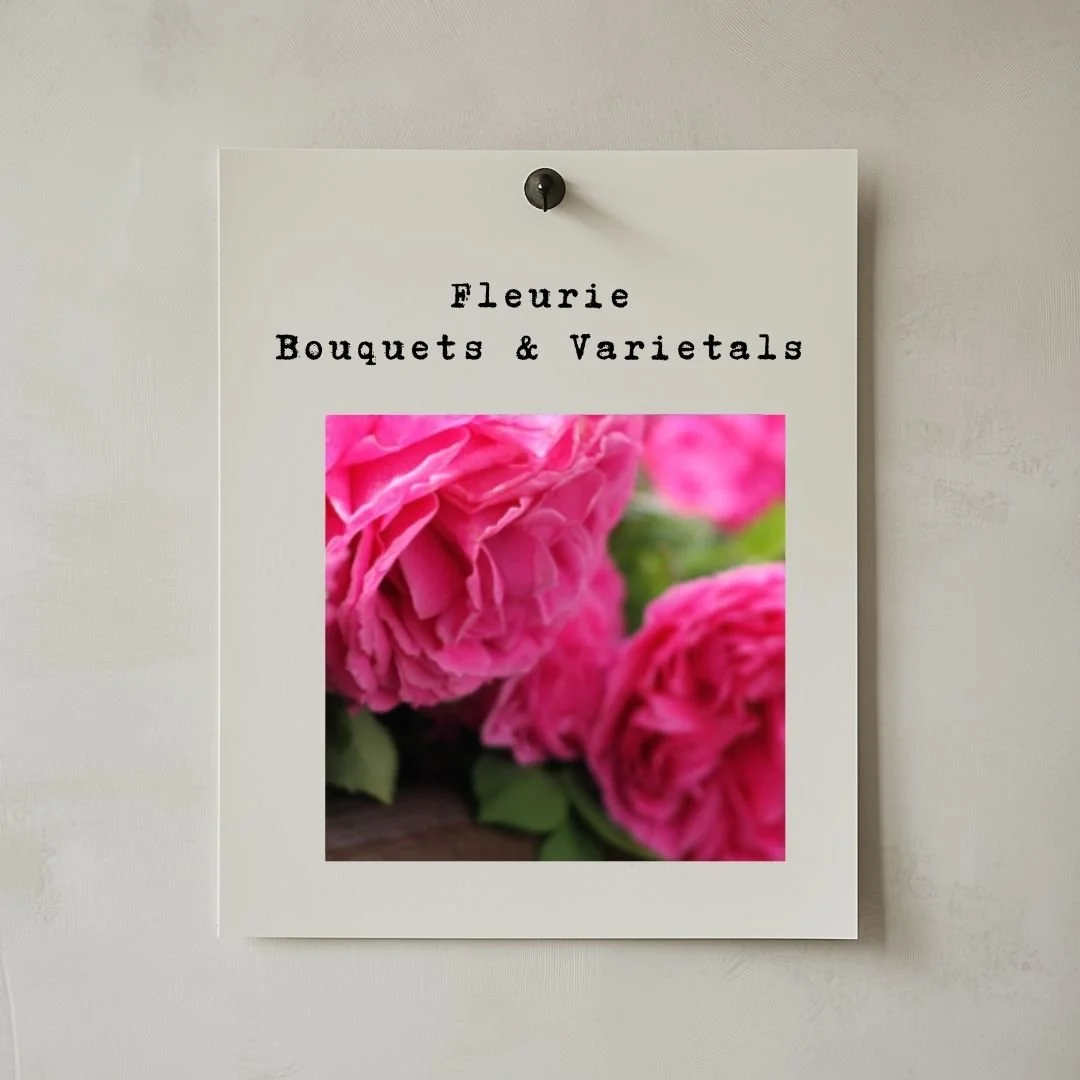 Fleurie : Bouquets & Varietals