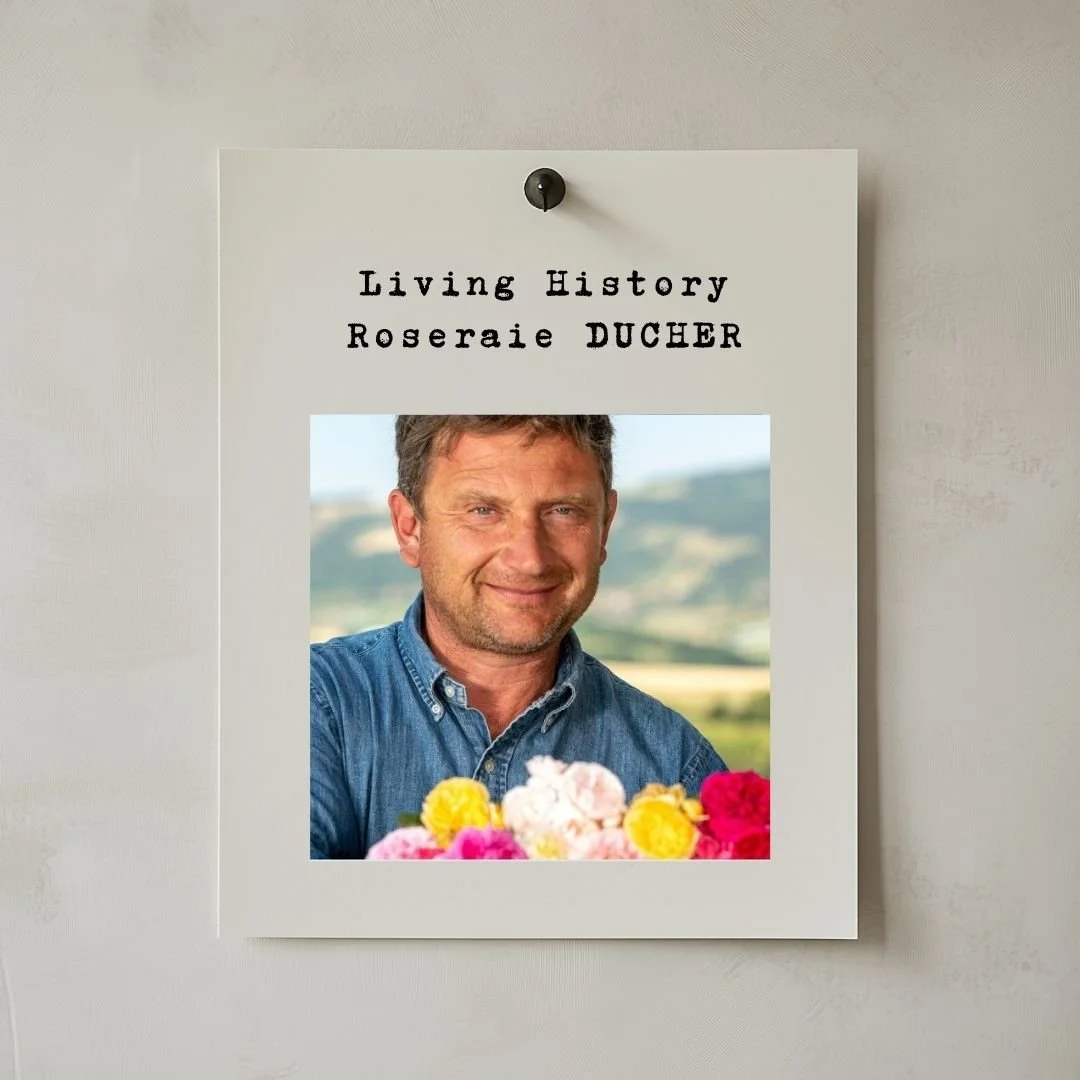 Living History : Roseraie DUCHER