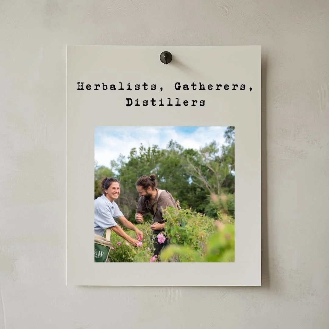 Herbalists, Gatherers, Distillers