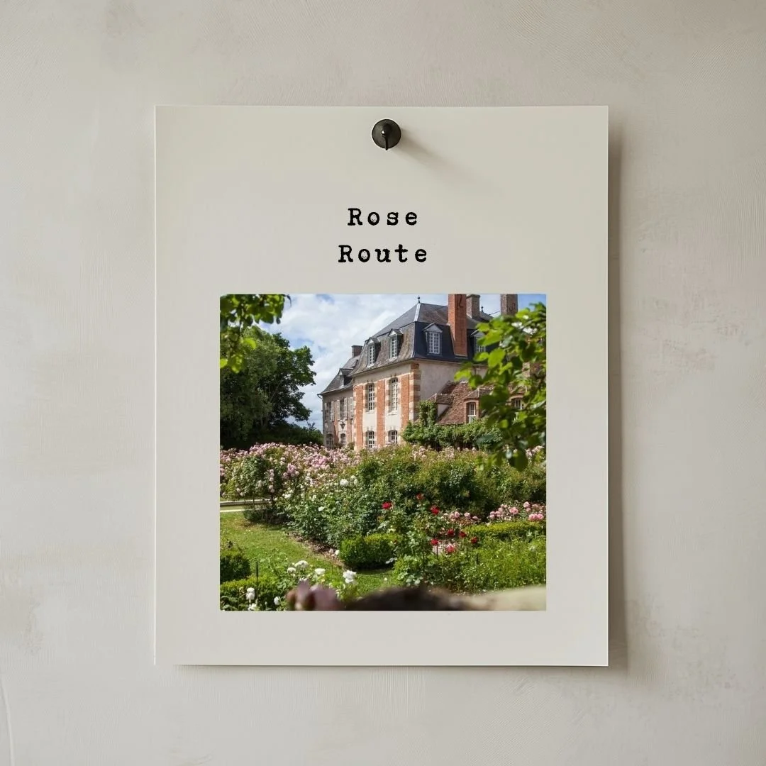 Rose : Route