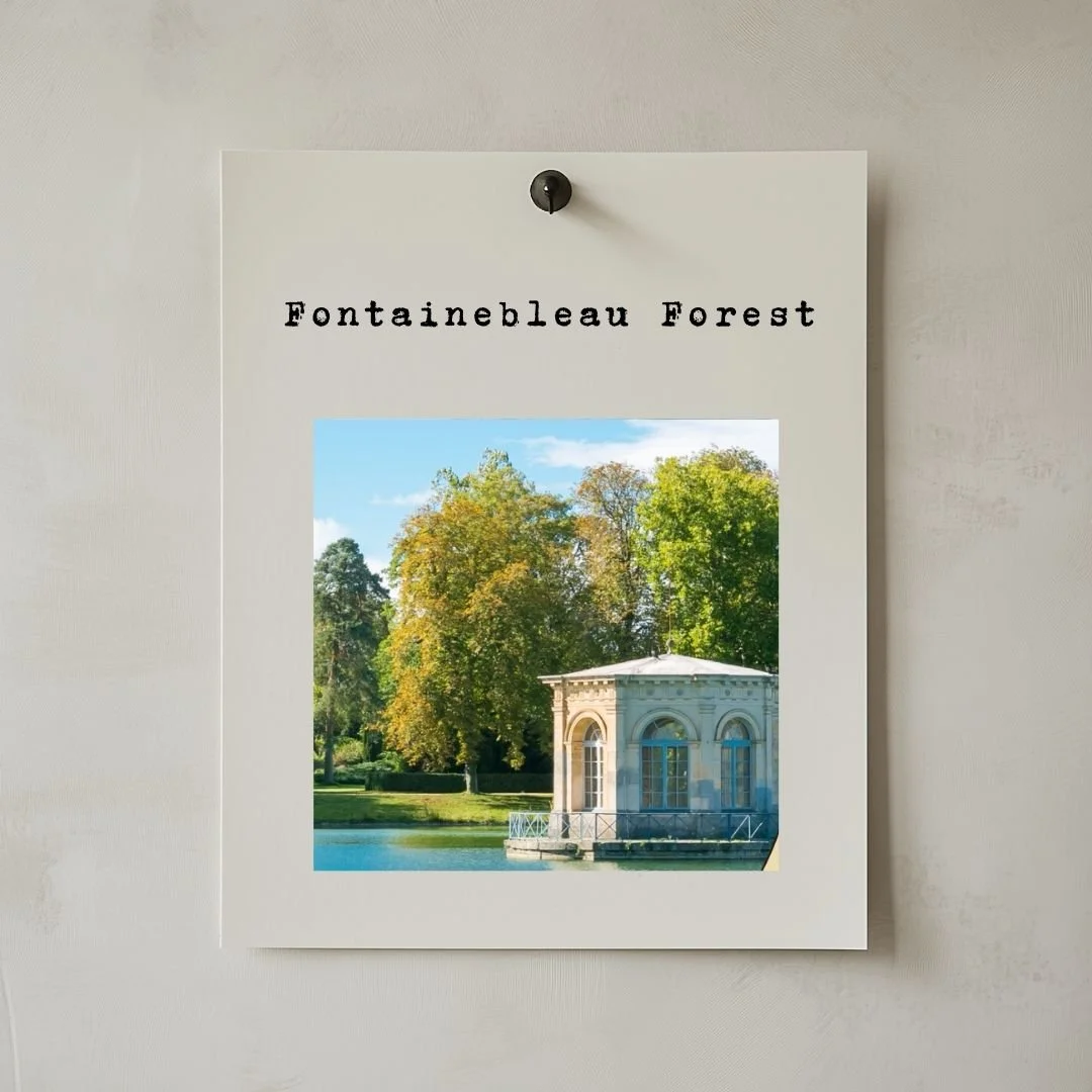 Fontainebleau Forest: Where French Royal History Meets Nature